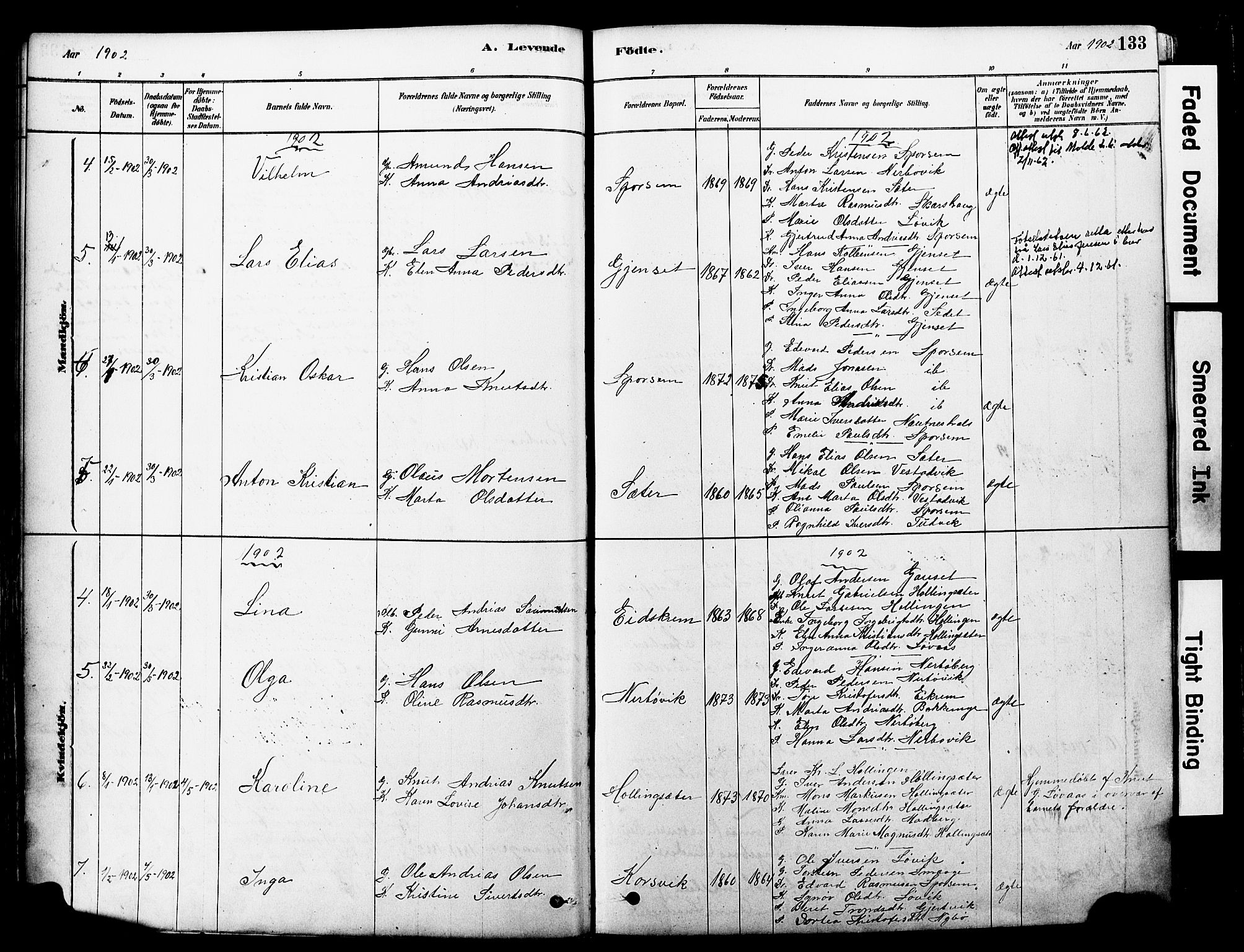 Ministerialprotokoller, klokkerbøker og fødselsregistre - Møre og Romsdal, SAT/A-1454/560/L0721: Parish register (official) no. 560A05, 1878-1917, p. 133
