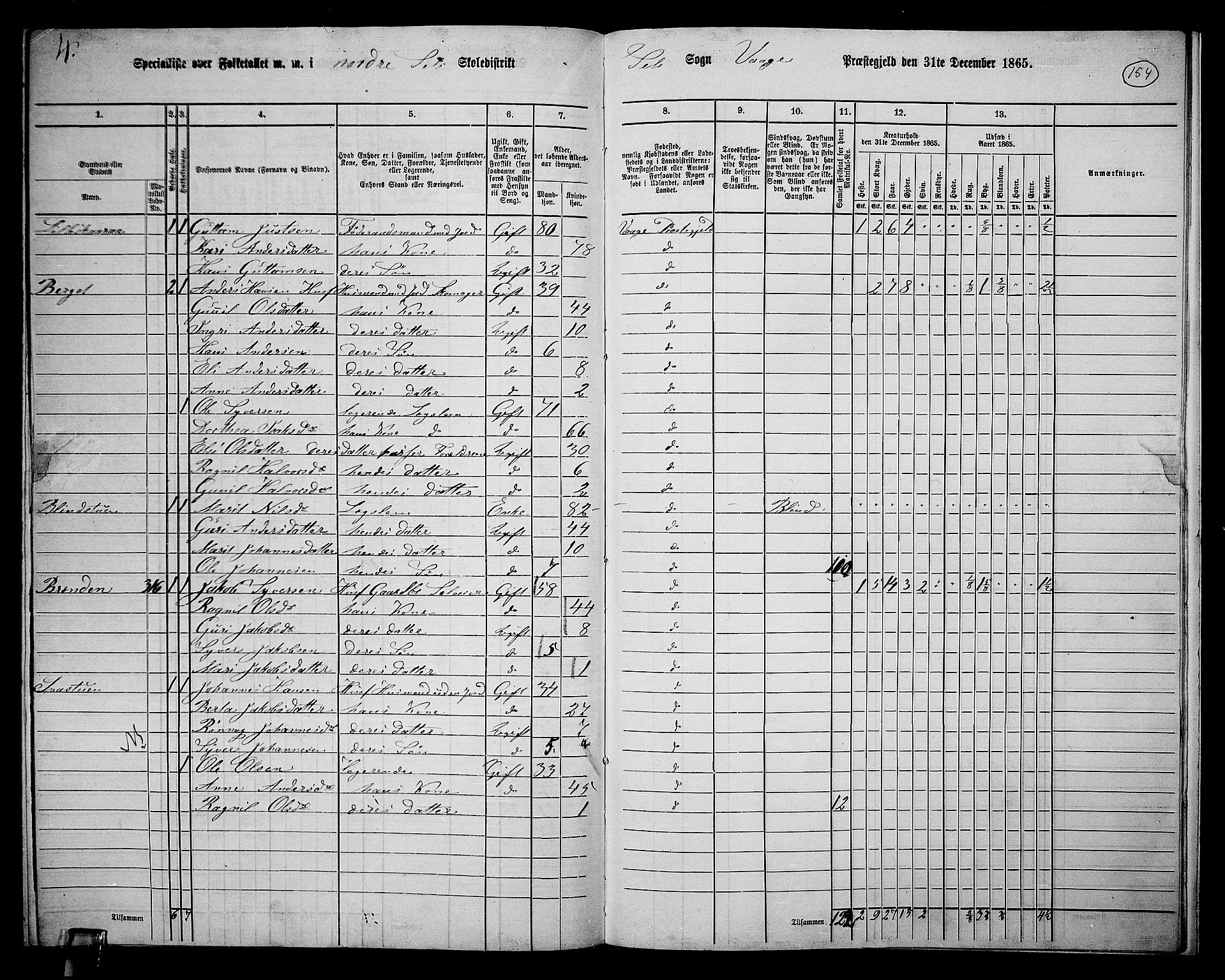 RA, 1865 census for Vågå, 1865, p. 310