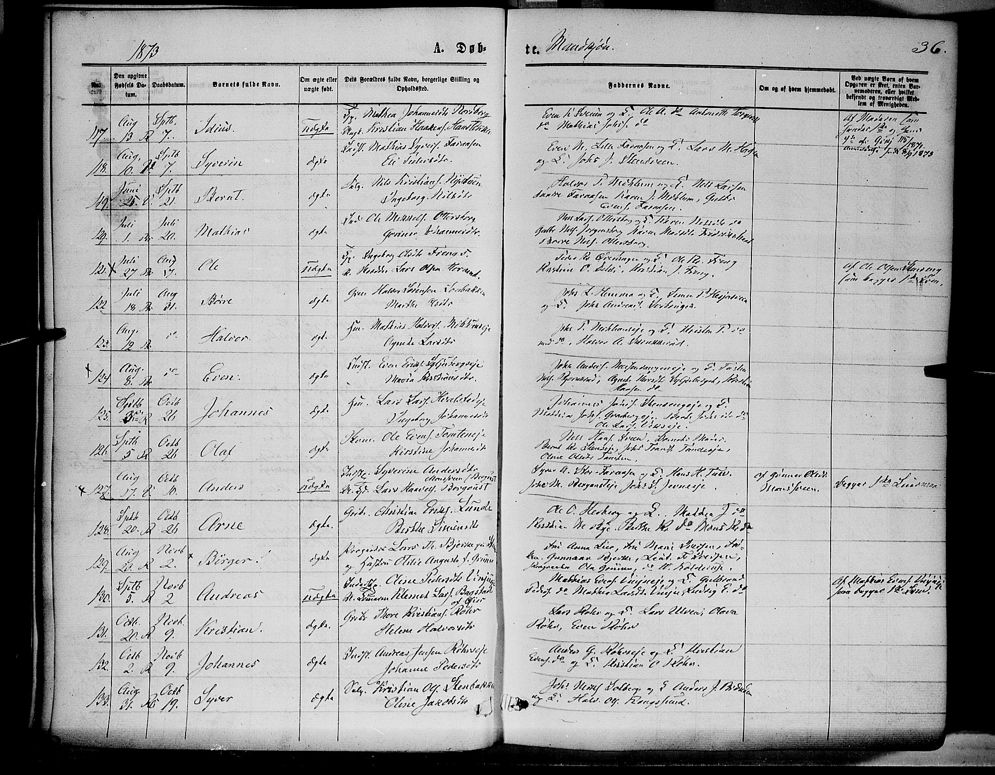 Ringsaker prestekontor, SAH/PREST-014/K/Ka/L0011: Parish register (official) no. 11, 1870-1878, p. 36