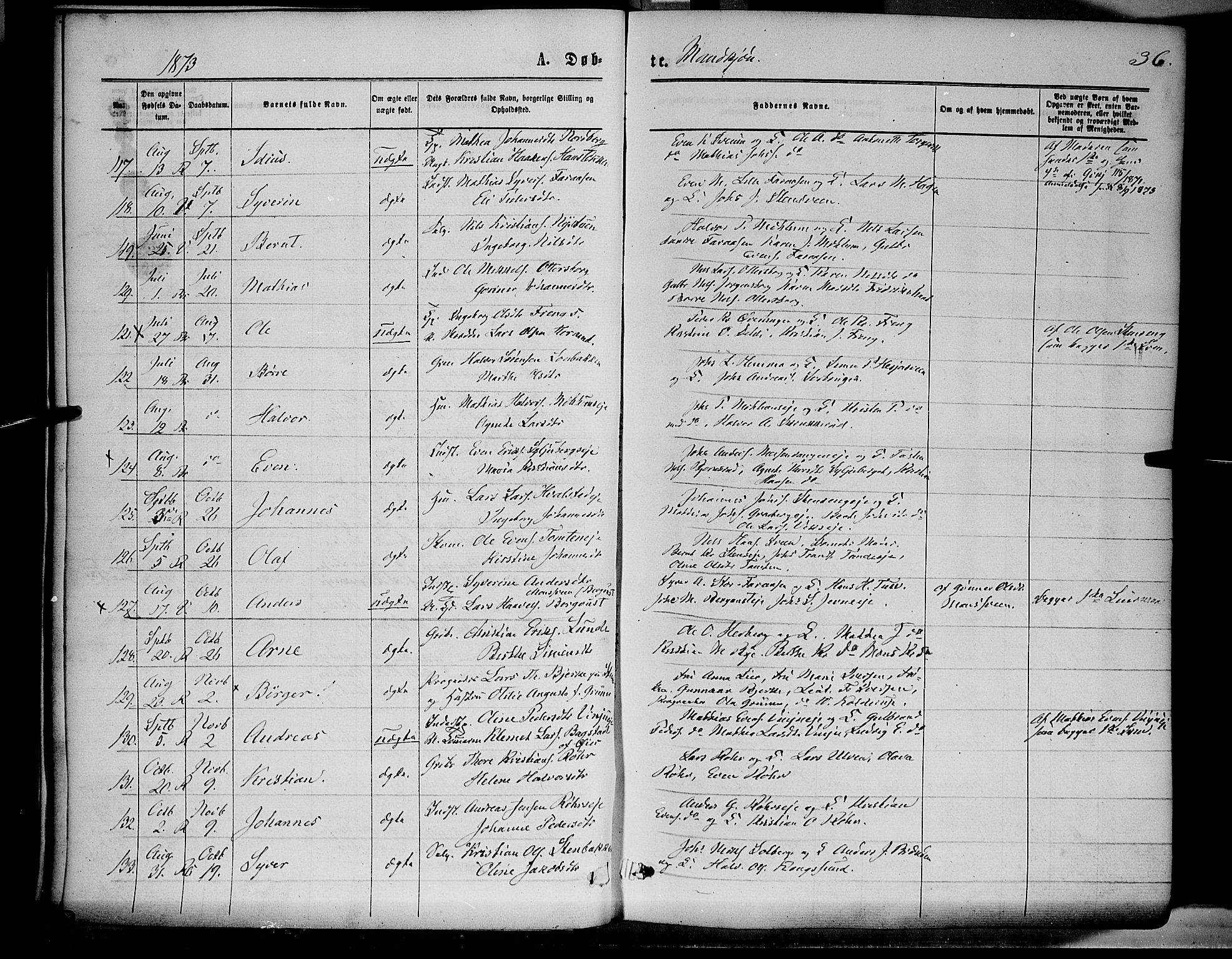 Ringsaker prestekontor, AV/SAH-PREST-014/K/Ka/L0011: Parish register (official) no. 11, 1870-1878, p. 36