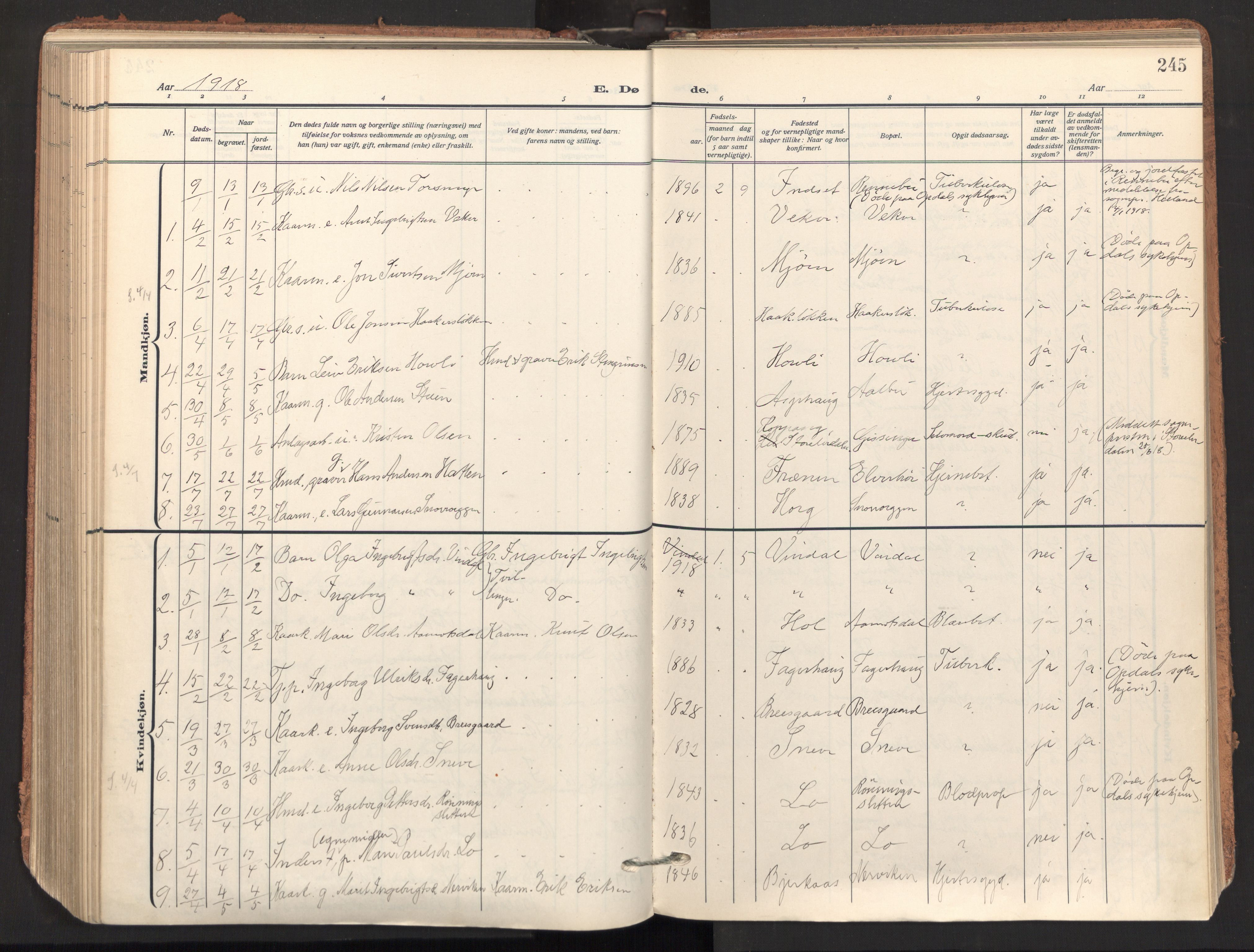 Ministerialprotokoller, klokkerbøker og fødselsregistre - Sør-Trøndelag, SAT/A-1456/678/L0909: Parish register (official) no. 678A17, 1912-1930, p. 245
