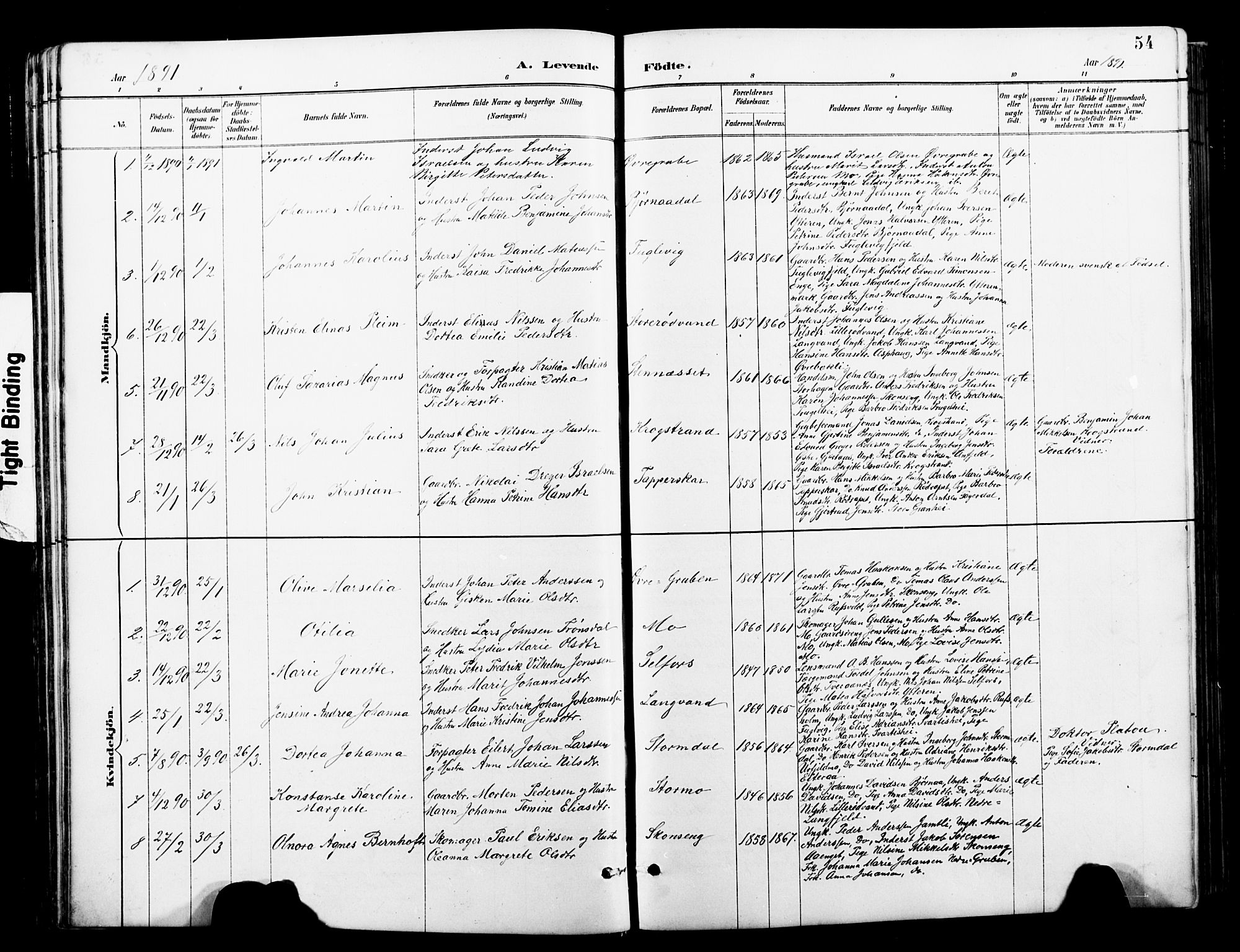 Ministerialprotokoller, klokkerbøker og fødselsregistre - Nordland, AV/SAT-A-1459/827/L0421: Parish register (copy) no. 827C10, 1887-1906, p. 54