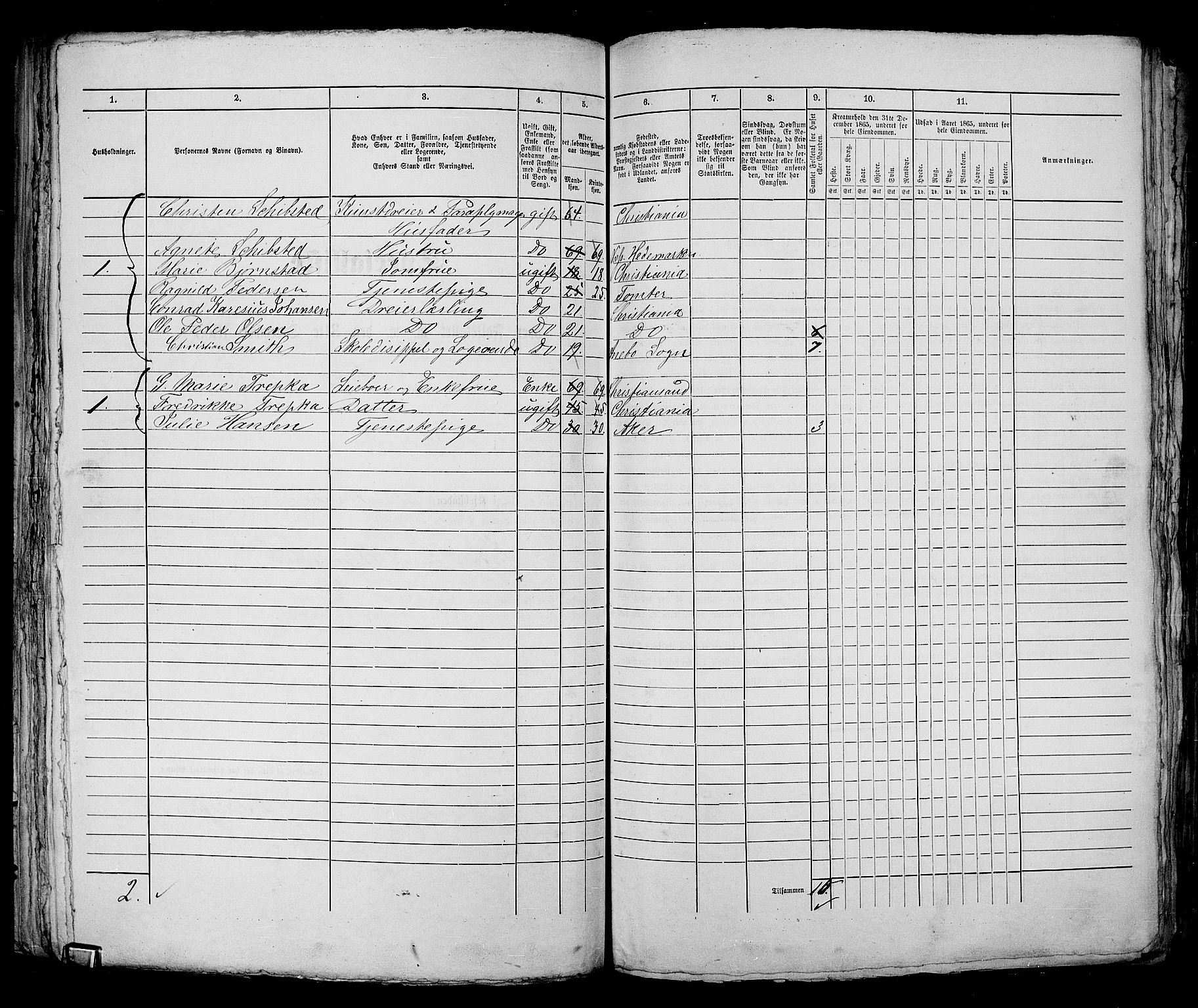 RA, 1865 census for Kristiania, 1865, p. 1850