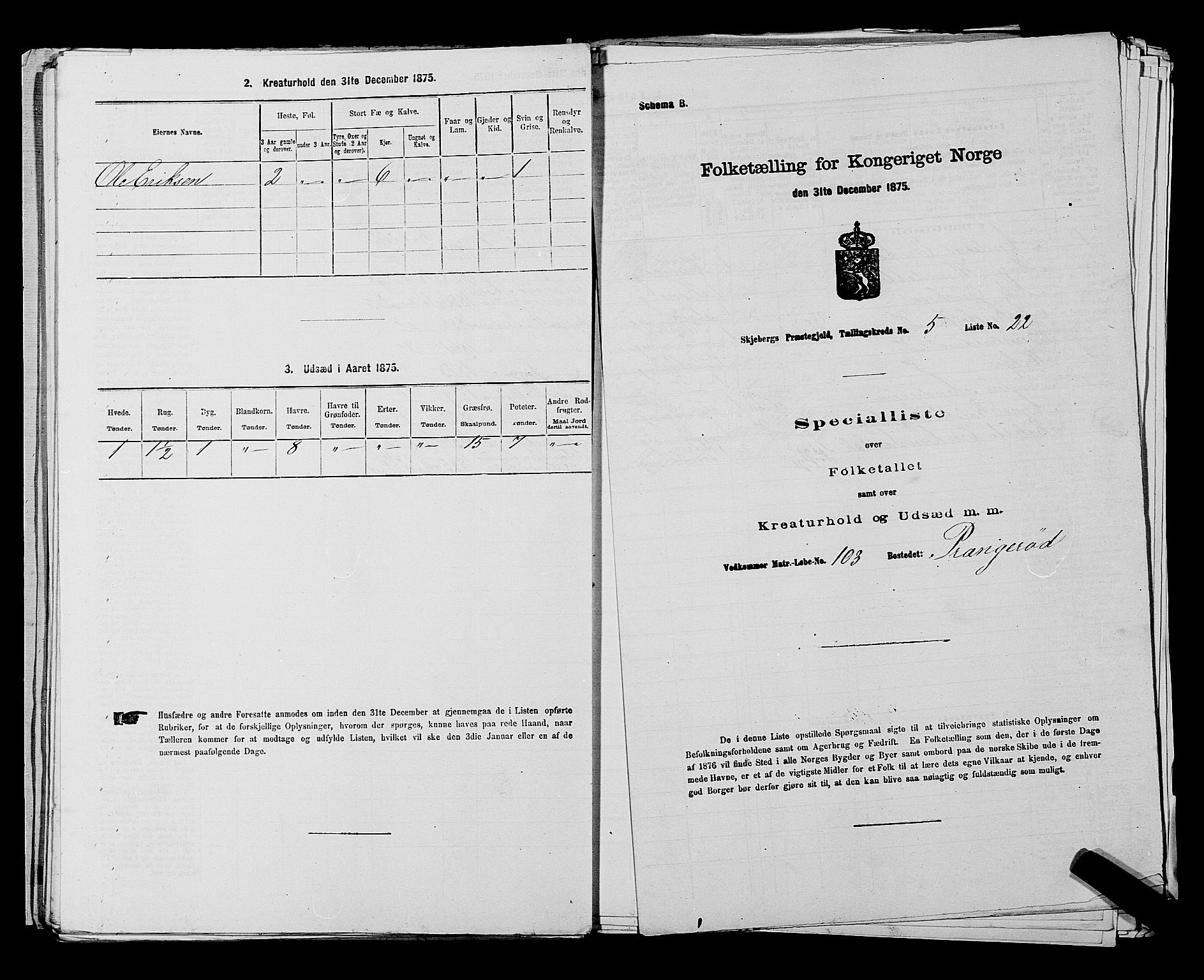 RA, 1875 census for 0115P Skjeberg, 1875, p. 893