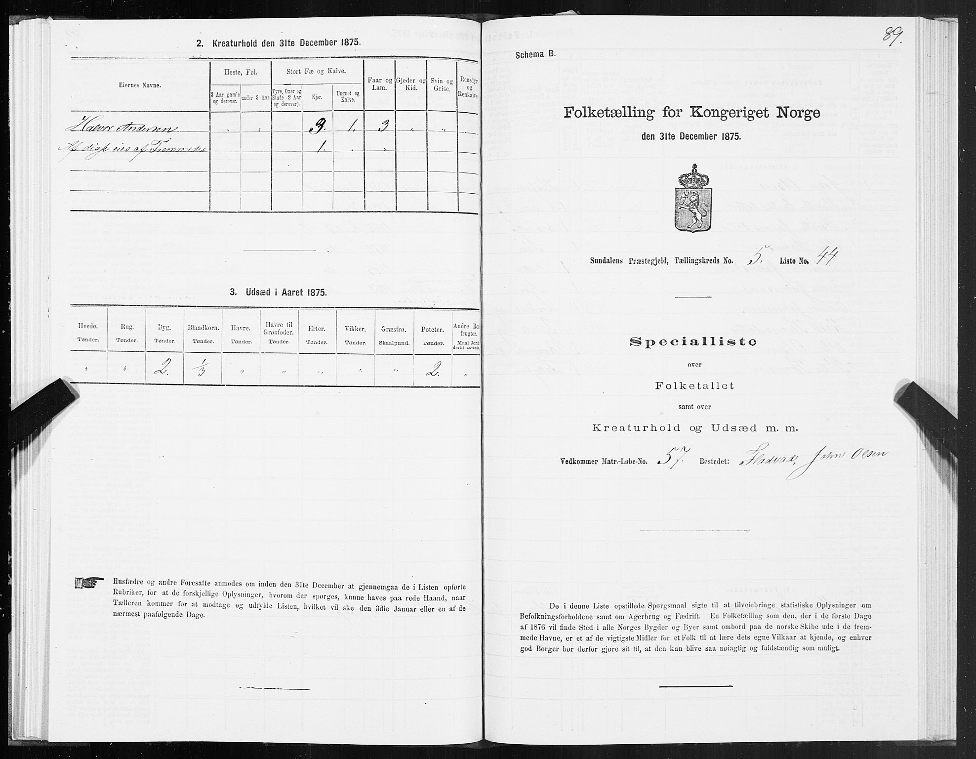 SAT, 1875 census for 1563P Sunndal, 1875, p. 2089
