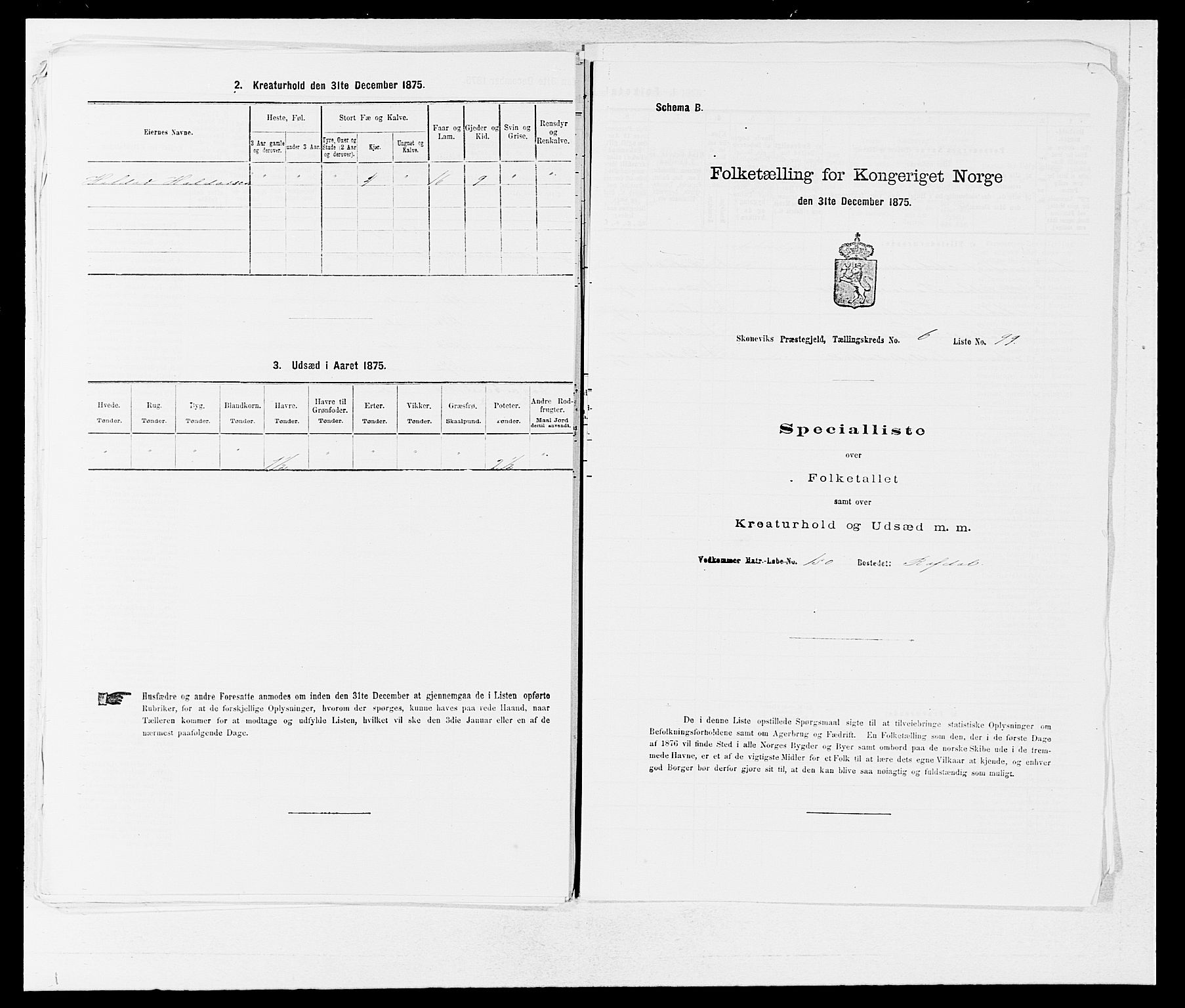 SAB, 1875 census for 1212P Skånevik, 1875, p. 770