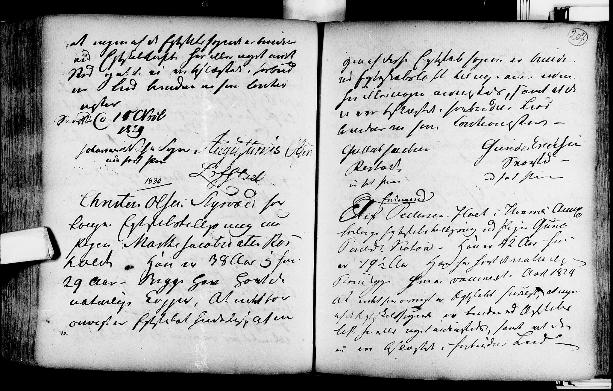 Lardal kirkebøker, SAKO/A-350/F/Fa/L0004: Parish register (official) no. i 4, 1733-1815, p. 207