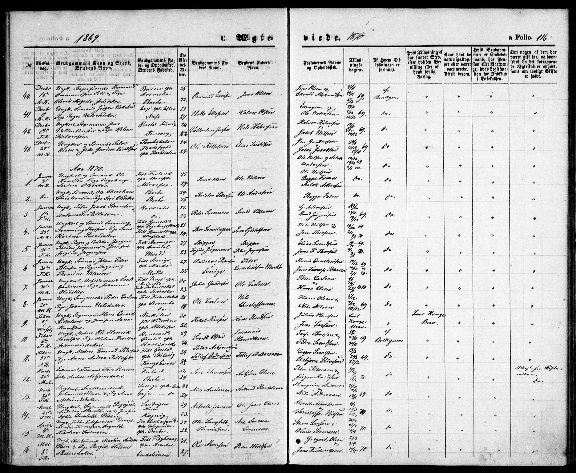 Tromøy sokneprestkontor, SAK/1111-0041/F/Fb/L0004: Parish register (copy) no. B 4, 1869-1877, p. 116