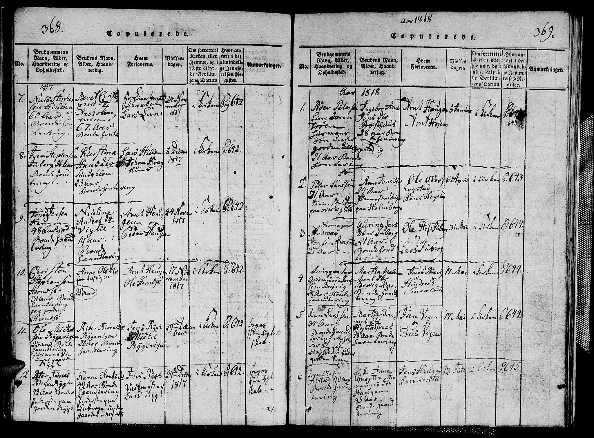 Ministerialprotokoller, klokkerbøker og fødselsregistre - Nord-Trøndelag, SAT/A-1458/713/L0124: Parish register (copy) no. 713C01, 1817-1827, p. 368-369