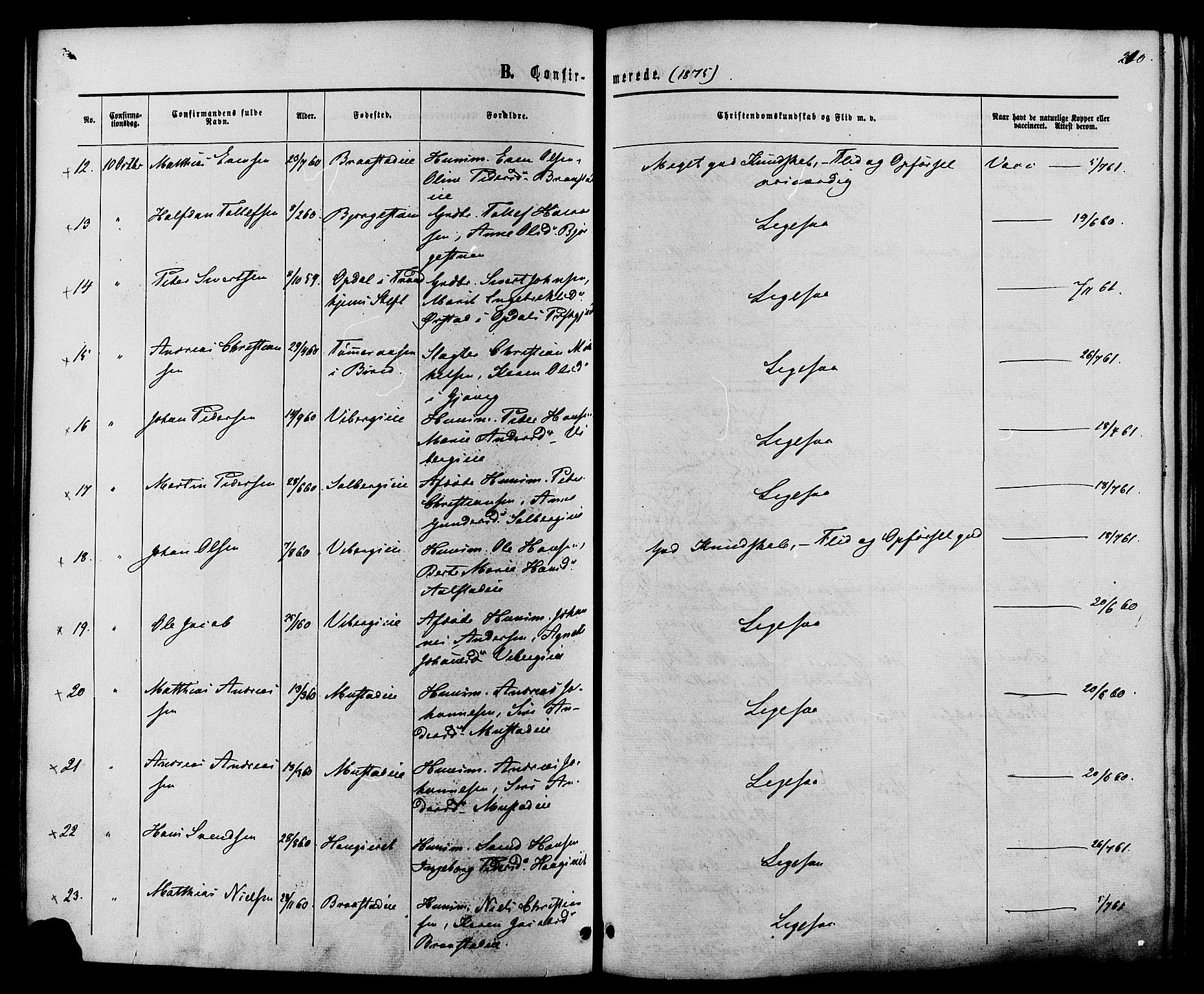 Vardal prestekontor, SAH/PREST-100/H/Ha/Haa/L0007: Parish register (official) no. 7, 1867-1878, p. 210