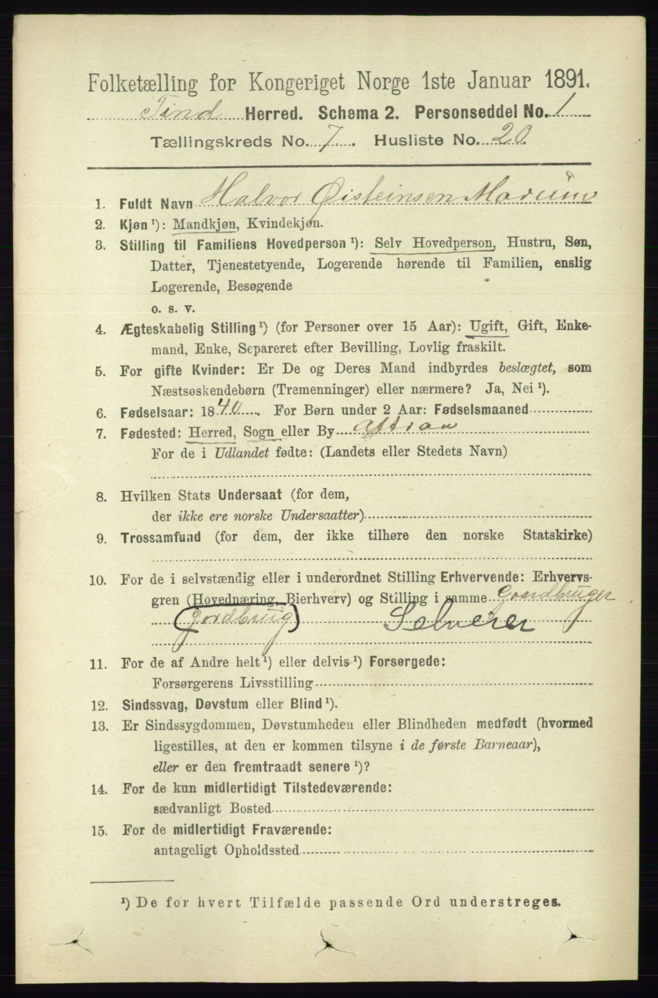 RA, 1891 census for 0826 Tinn, 1891, p. 1531