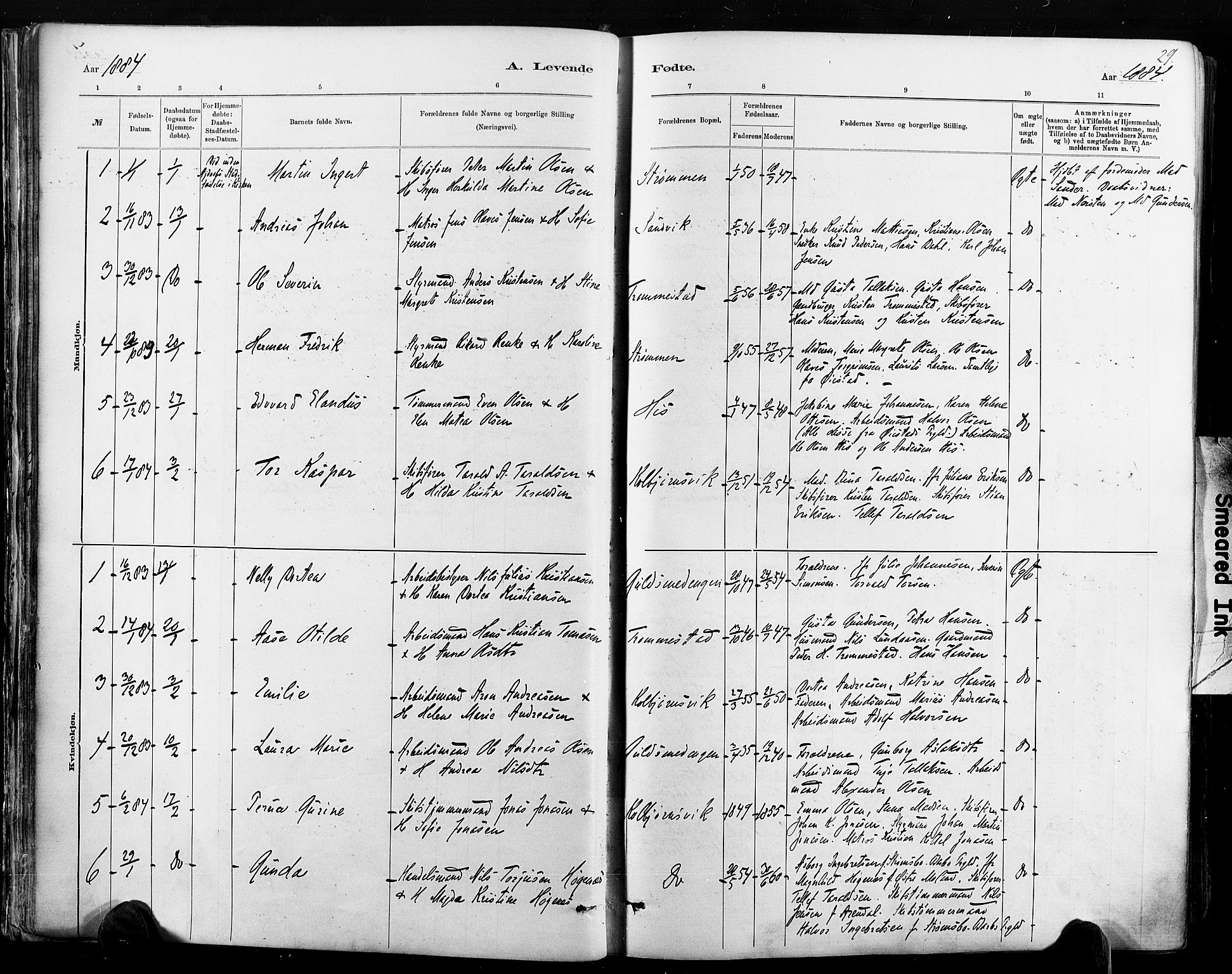 Hisøy sokneprestkontor, AV/SAK-1111-0020/F/Fa/L0003: Parish register (official) no. A 3, 1881-1894, p. 29