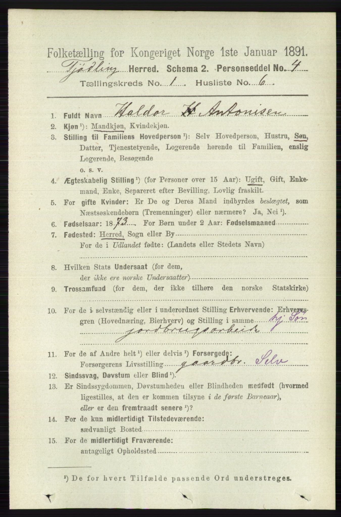 RA, 1891 census for 0725 Tjølling, 1891, p. 127