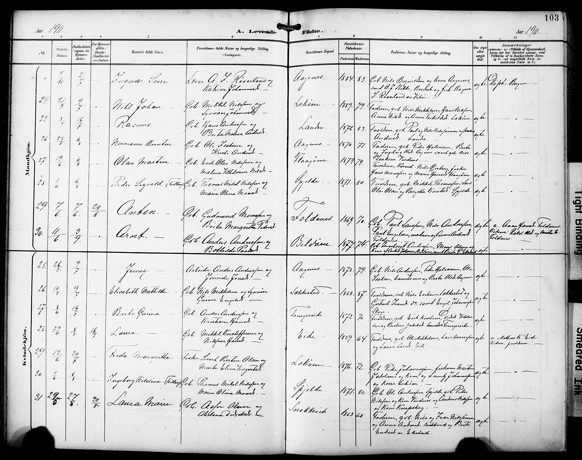 Fjell sokneprestembete, SAB/A-75301/H/Hab: Parish register (copy) no. A 5, 1899-1918, p. 103
