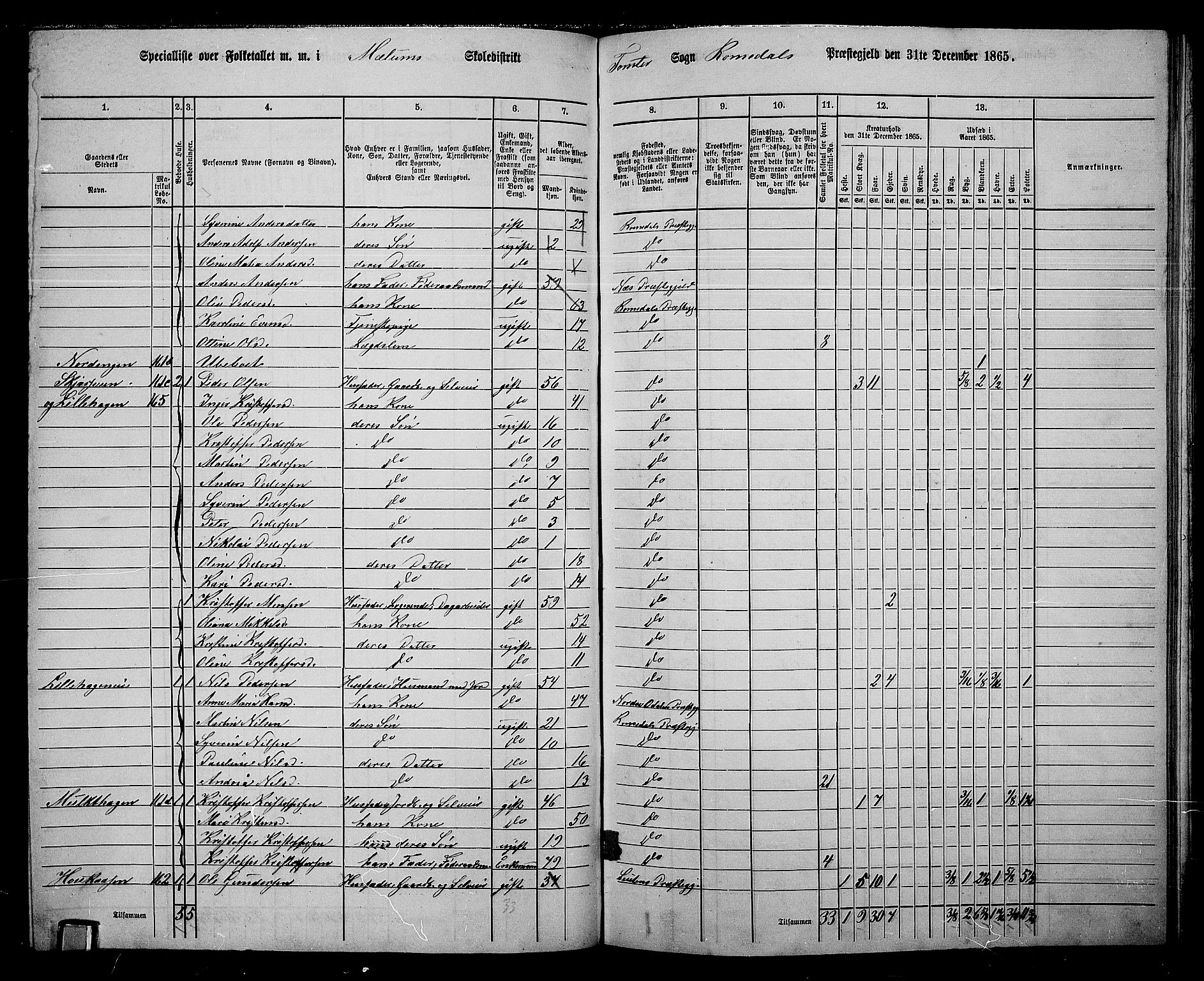 RA, 1865 census for Romedal, 1865, p. 143