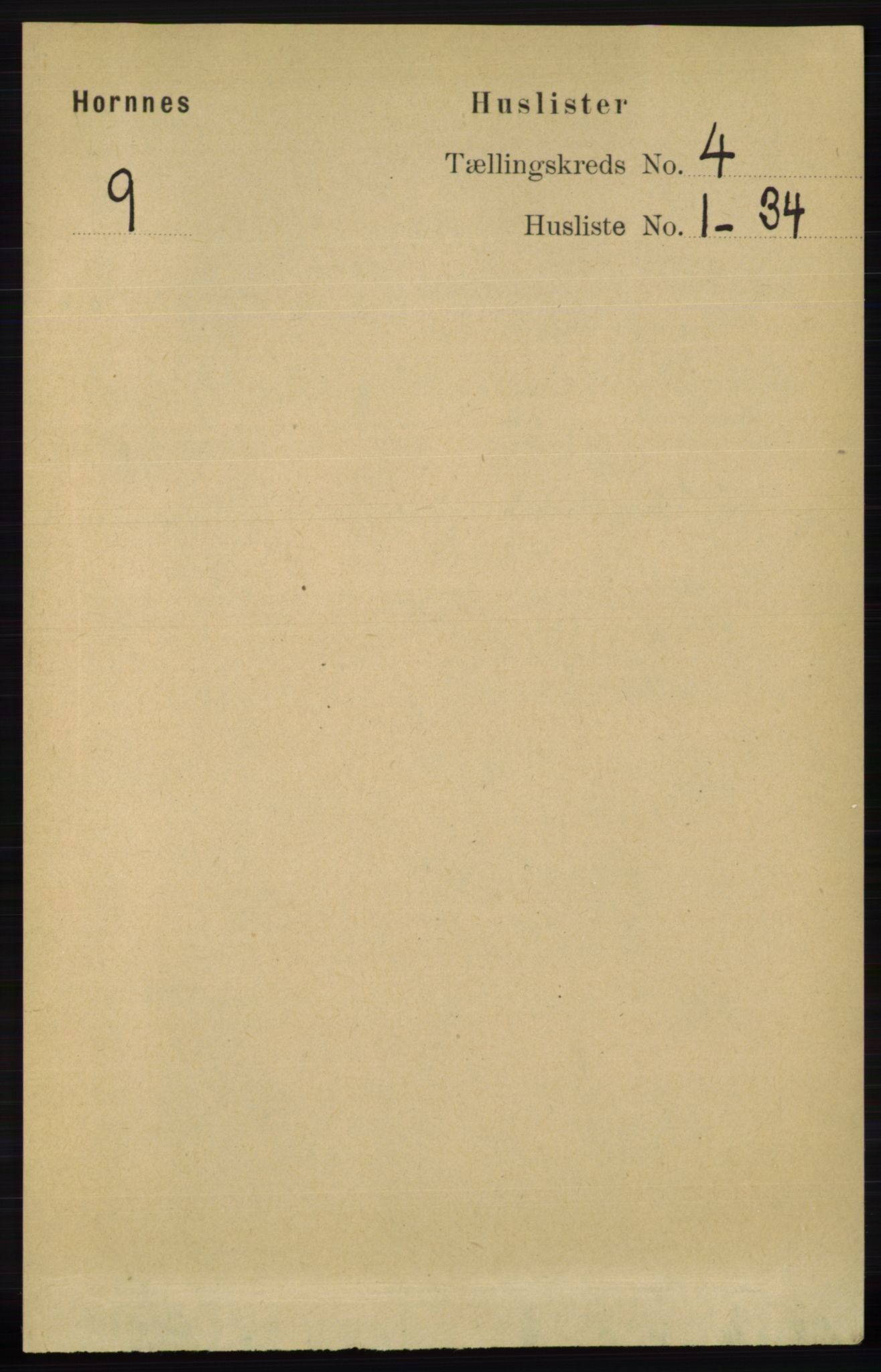 RA, 1891 census for 0936 Hornnes, 1891, p. 1011