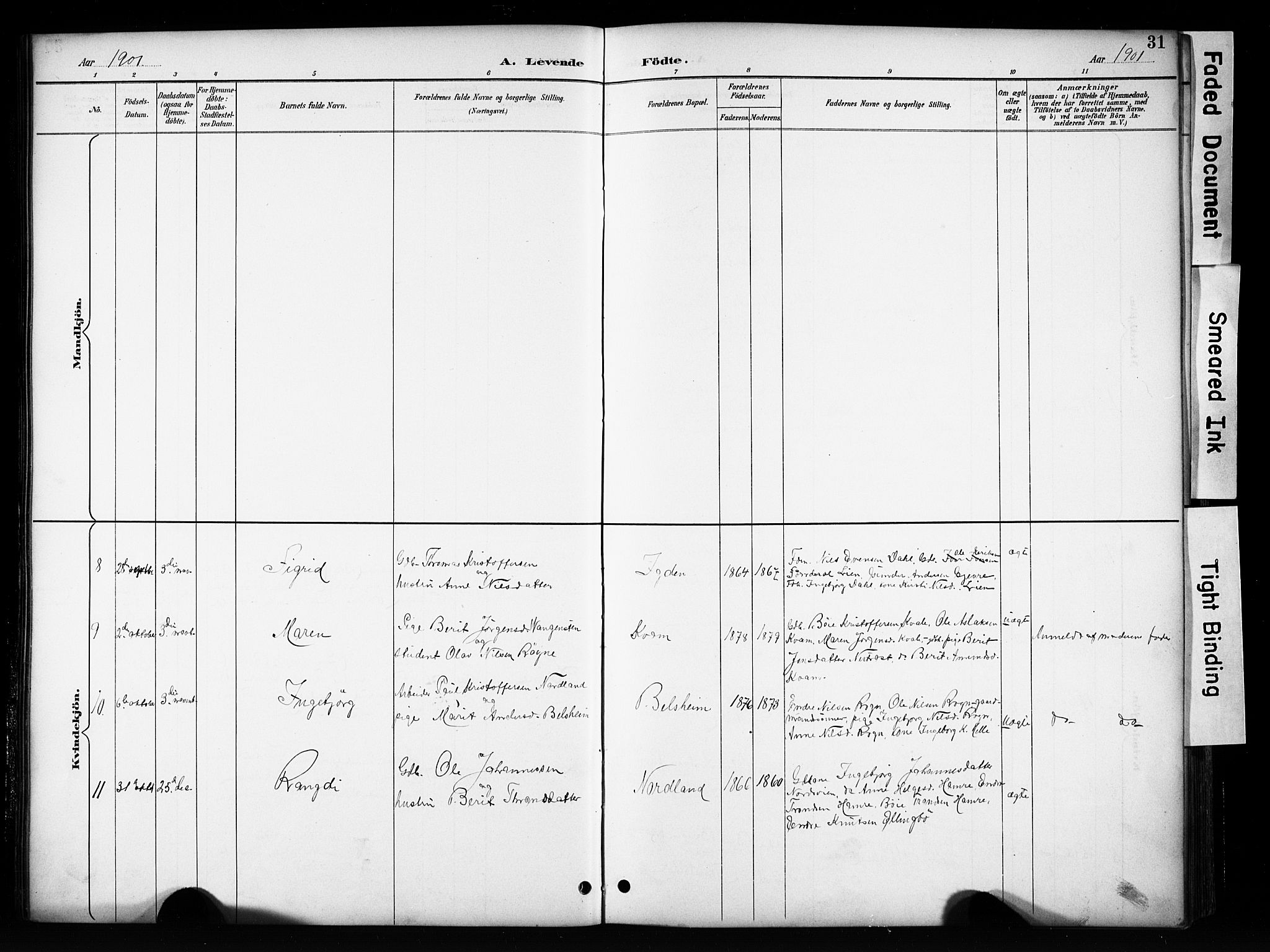 Vang prestekontor, Valdres, SAH/PREST-140/H/Hb/L0006: Parish register (copy) no. 6, 1893-1918, p. 31