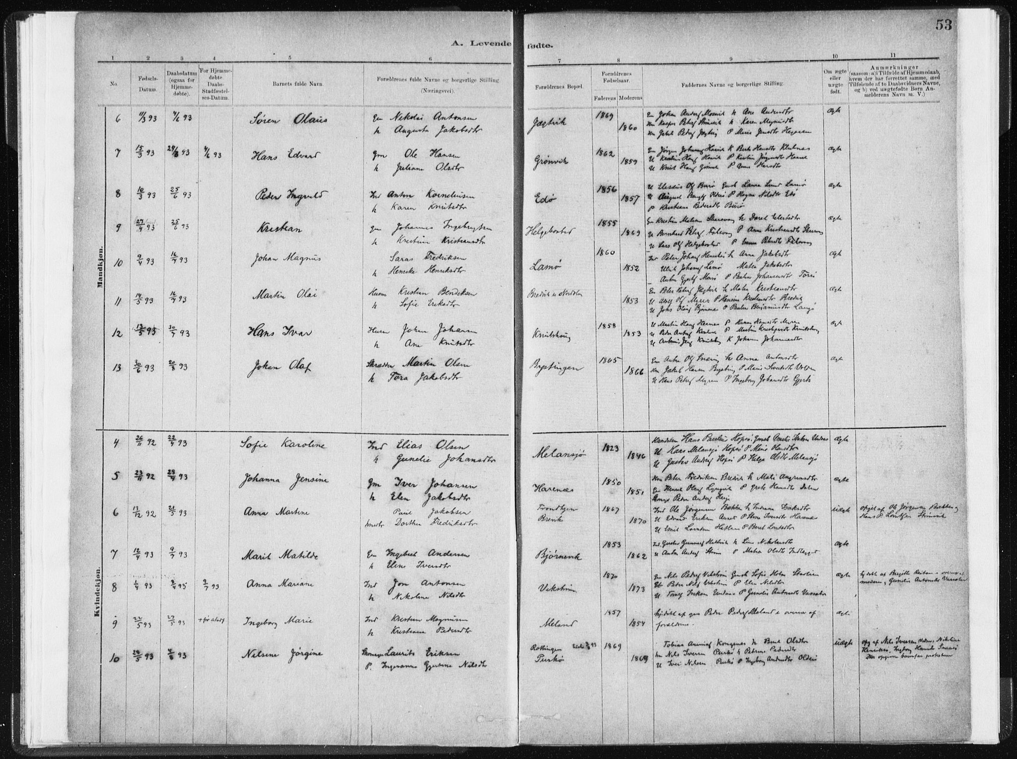 Ministerialprotokoller, klokkerbøker og fødselsregistre - Sør-Trøndelag, AV/SAT-A-1456/634/L0533: Parish register (official) no. 634A09, 1882-1901, p. 53