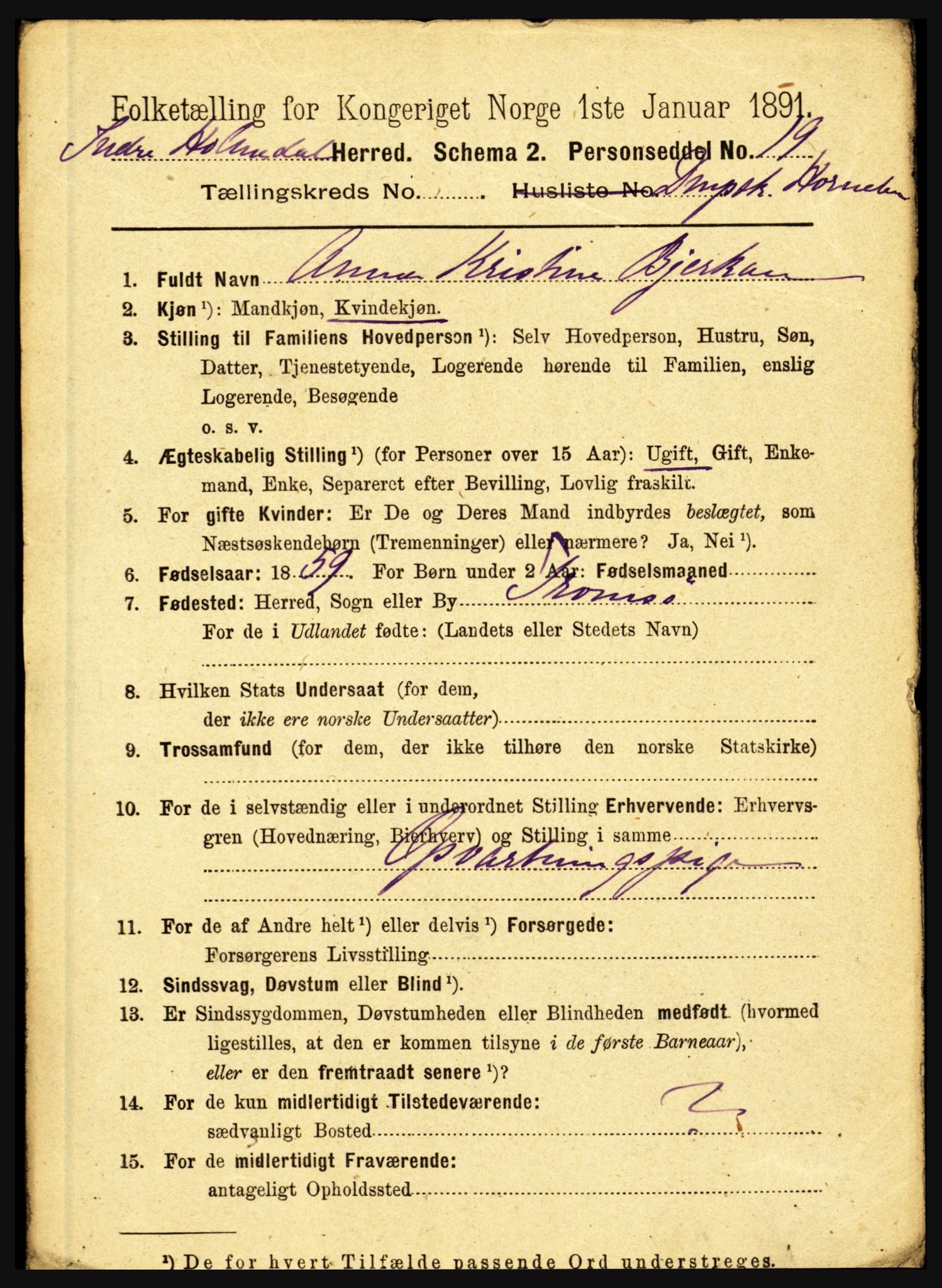 RA, 1891 census for 1430 Indre Holmedal, 1891, p. 4505