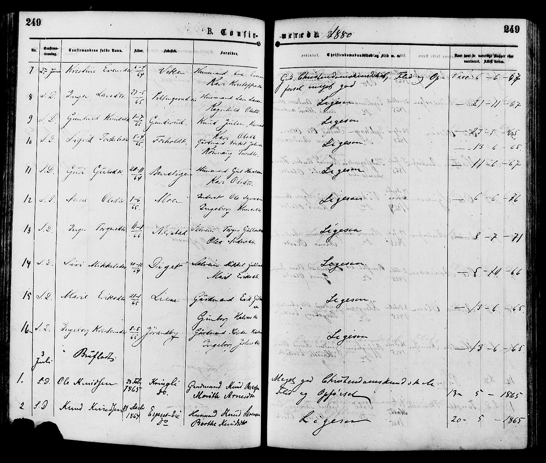 Sør-Aurdal prestekontor, AV/SAH-PREST-128/H/Ha/Haa/L0008: Parish register (official) no. 8, 1877-1885, p. 249