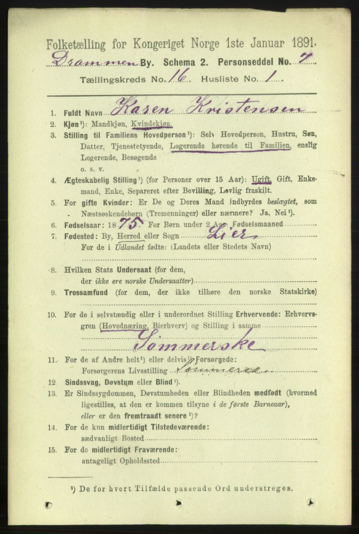 RA, 1891 census for 0602 Drammen, 1891, p. 10963