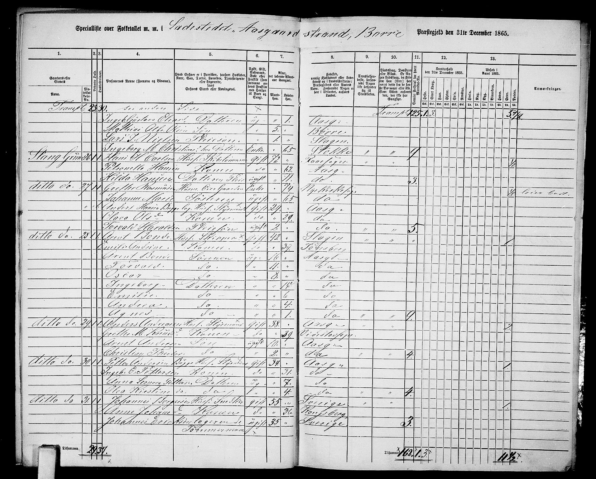 RA, 1865 census for Borre, 1865, p. 10