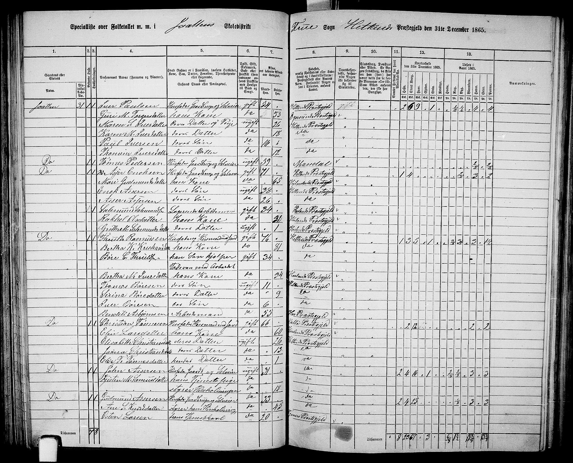 RA, 1865 census for Hetland, 1865, p. 97