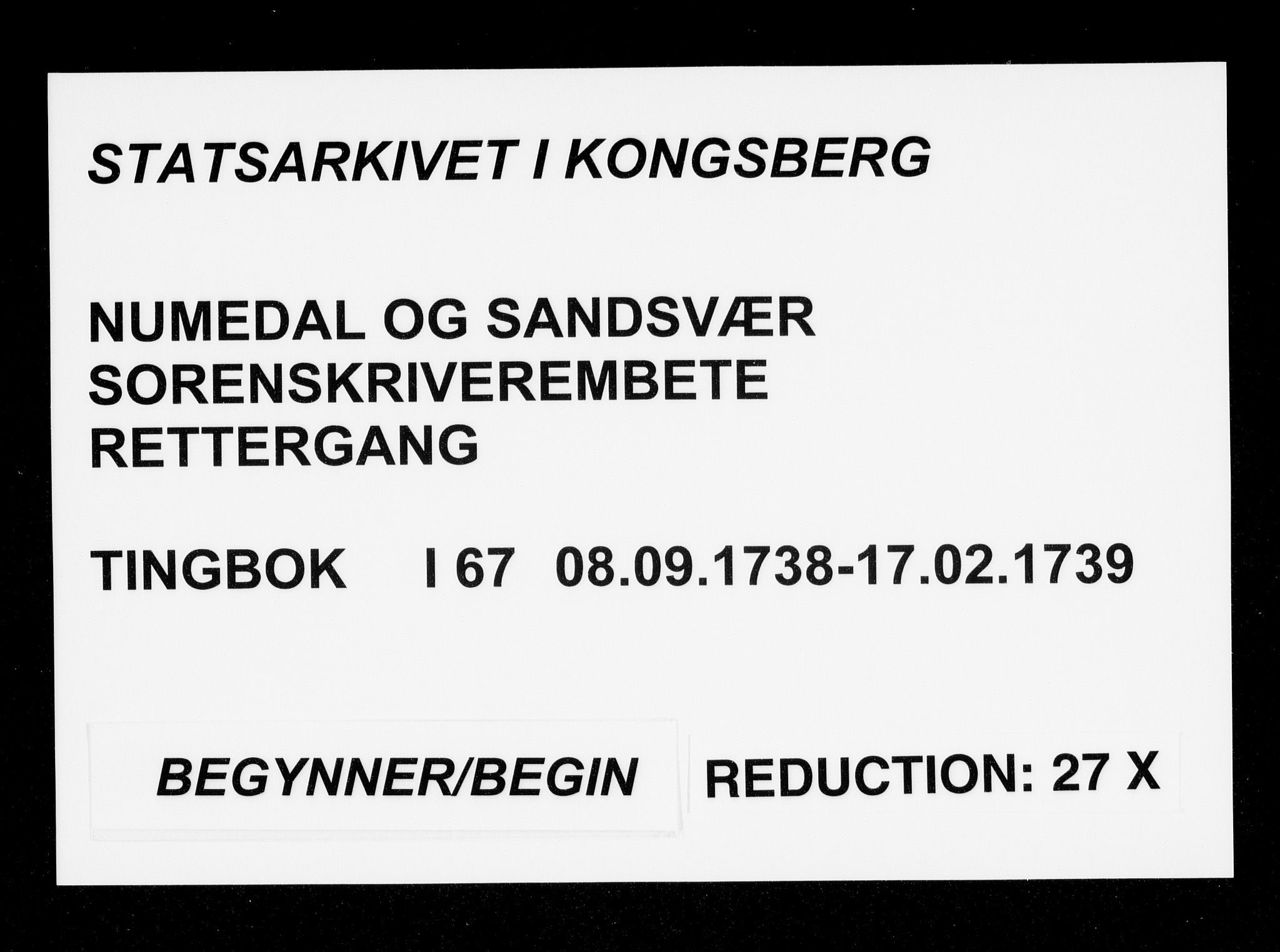 Numedal og Sandsvær sorenskriveri, SAKO/A-128/F/Fa/Faa/L0067: Tingbøker, 1738-1739