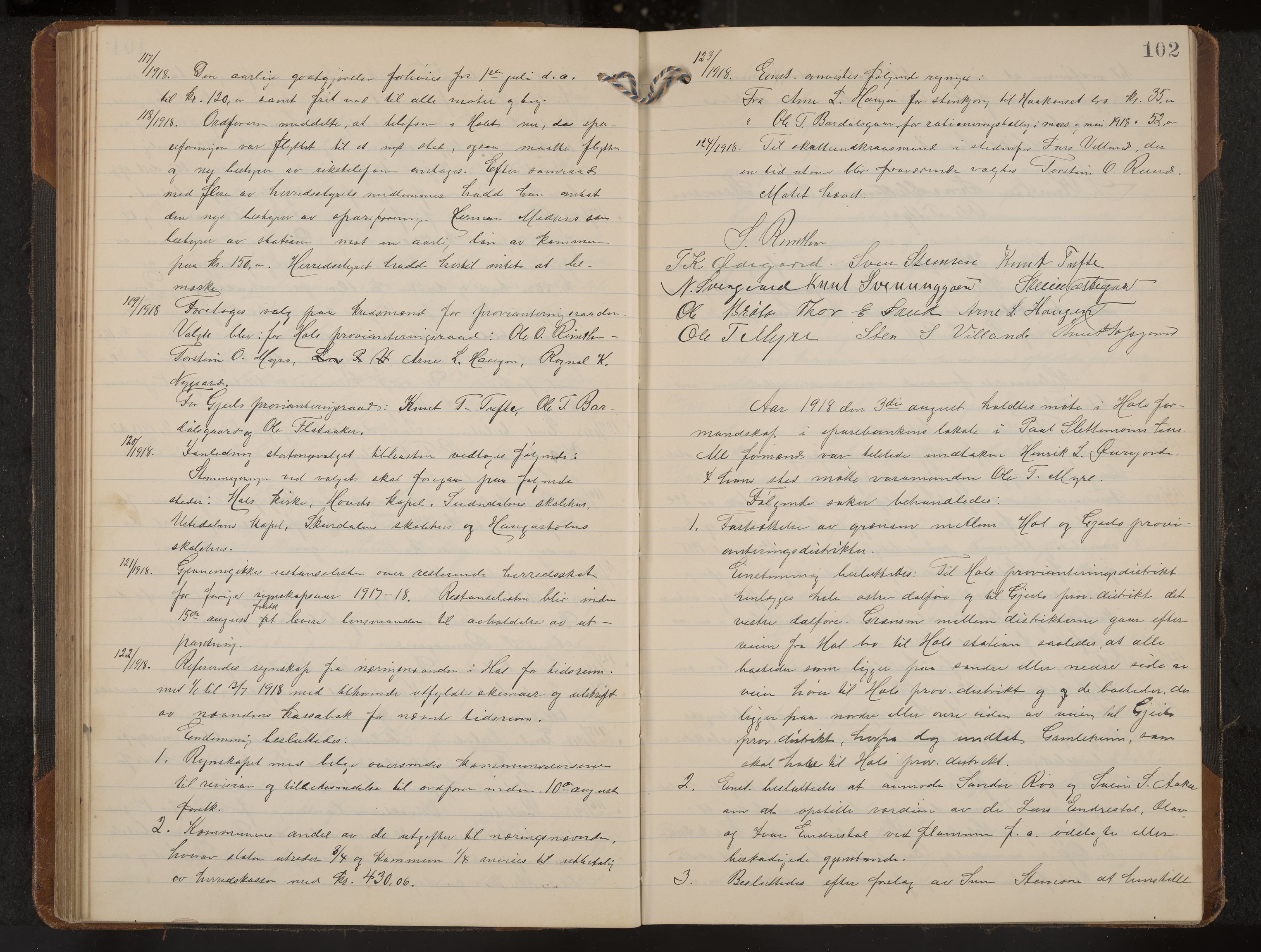 Hol formannskap og sentraladministrasjon, IKAK/0620021-1/A/L0006: Møtebok, 1916-1922, p. 102