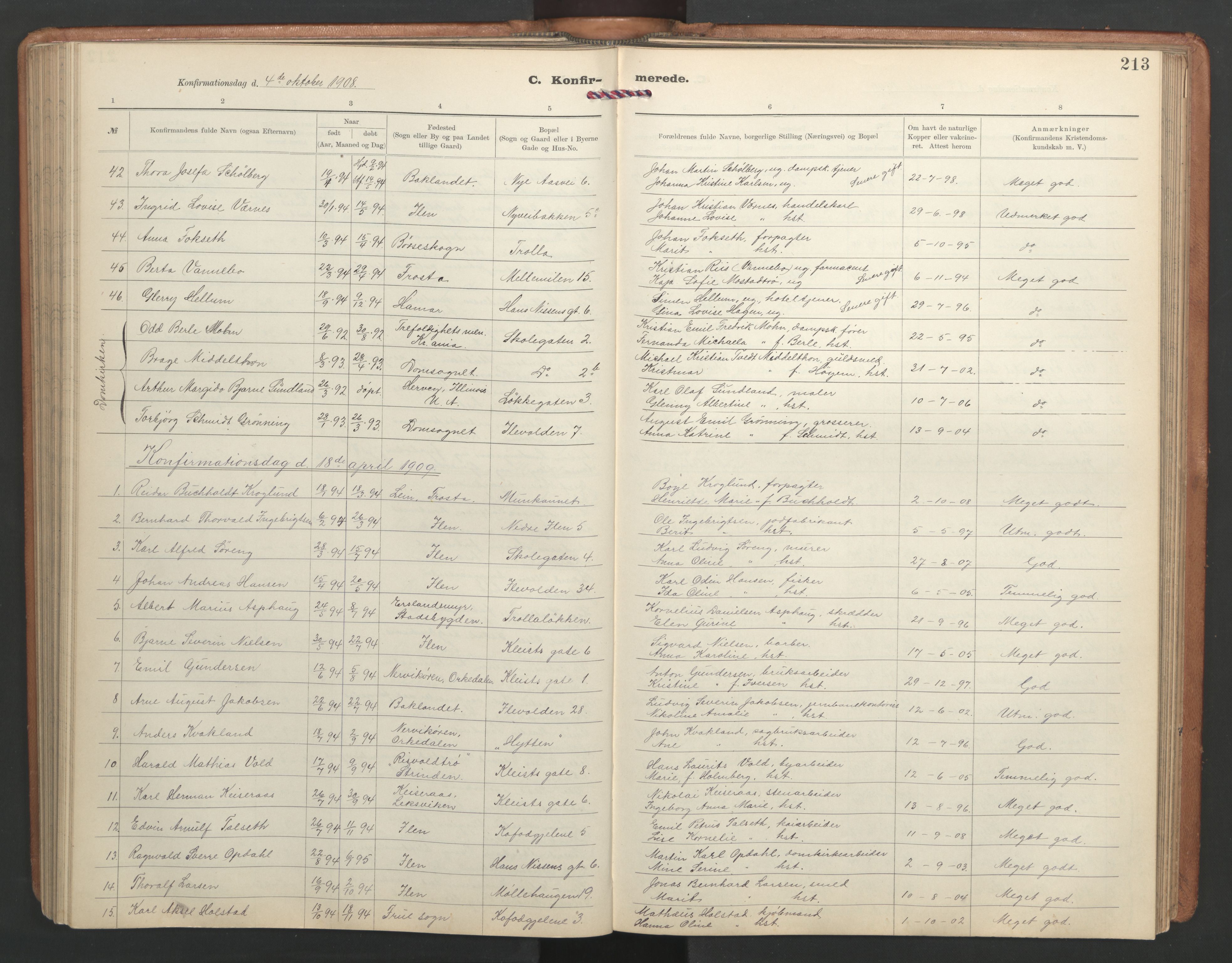 Ministerialprotokoller, klokkerbøker og fødselsregistre - Sør-Trøndelag, SAT/A-1456/603/L0173: Parish register (copy) no. 603C01, 1907-1962, p. 213