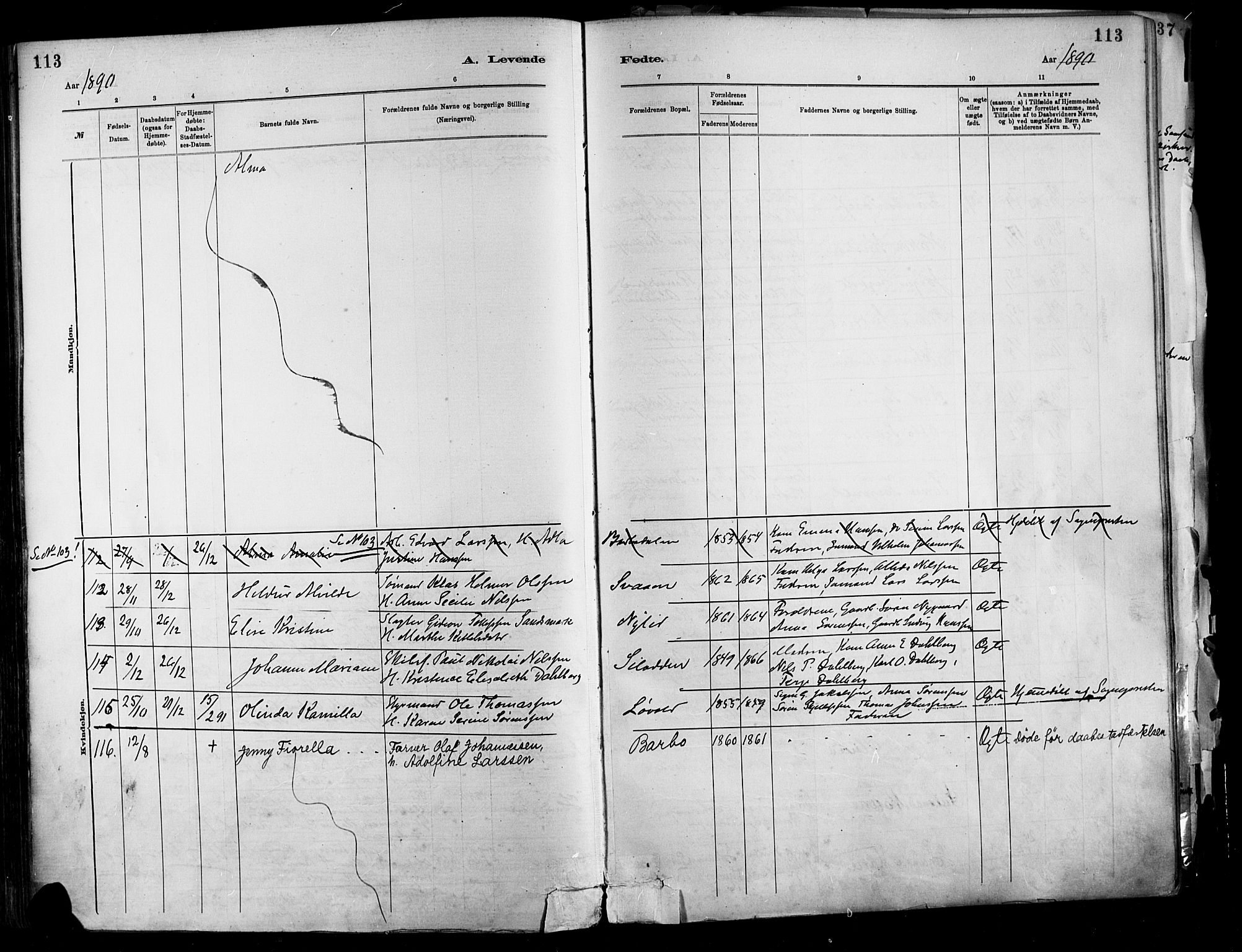 Barbu sokneprestkontor, AV/SAK-1111-0003/F/Fa/L0002: Parish register (official) no. A 2, 1883-1898, p. 113