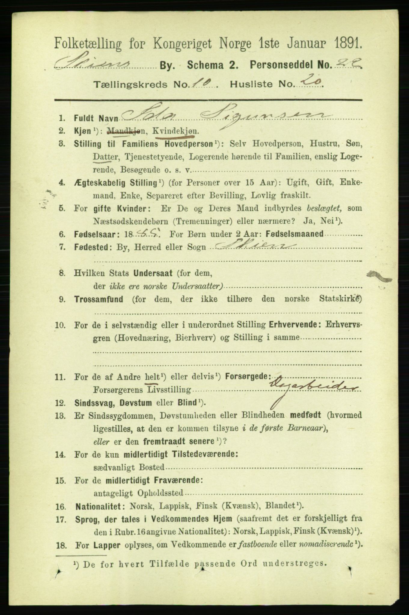 RA, 1891 census for 0806 Skien, 1891, p. 3796