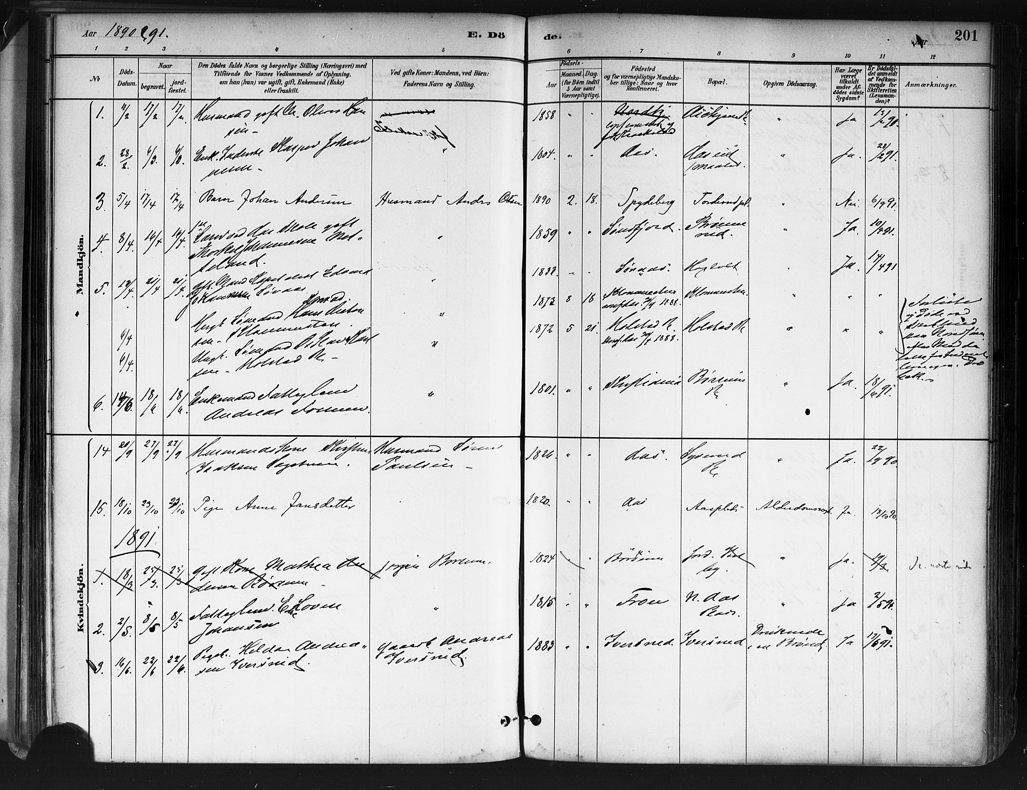 Ås prestekontor Kirkebøker, AV/SAO-A-10894/F/Fa/L0009: Parish register (official) no. I 9, 1881-1900, p. 201