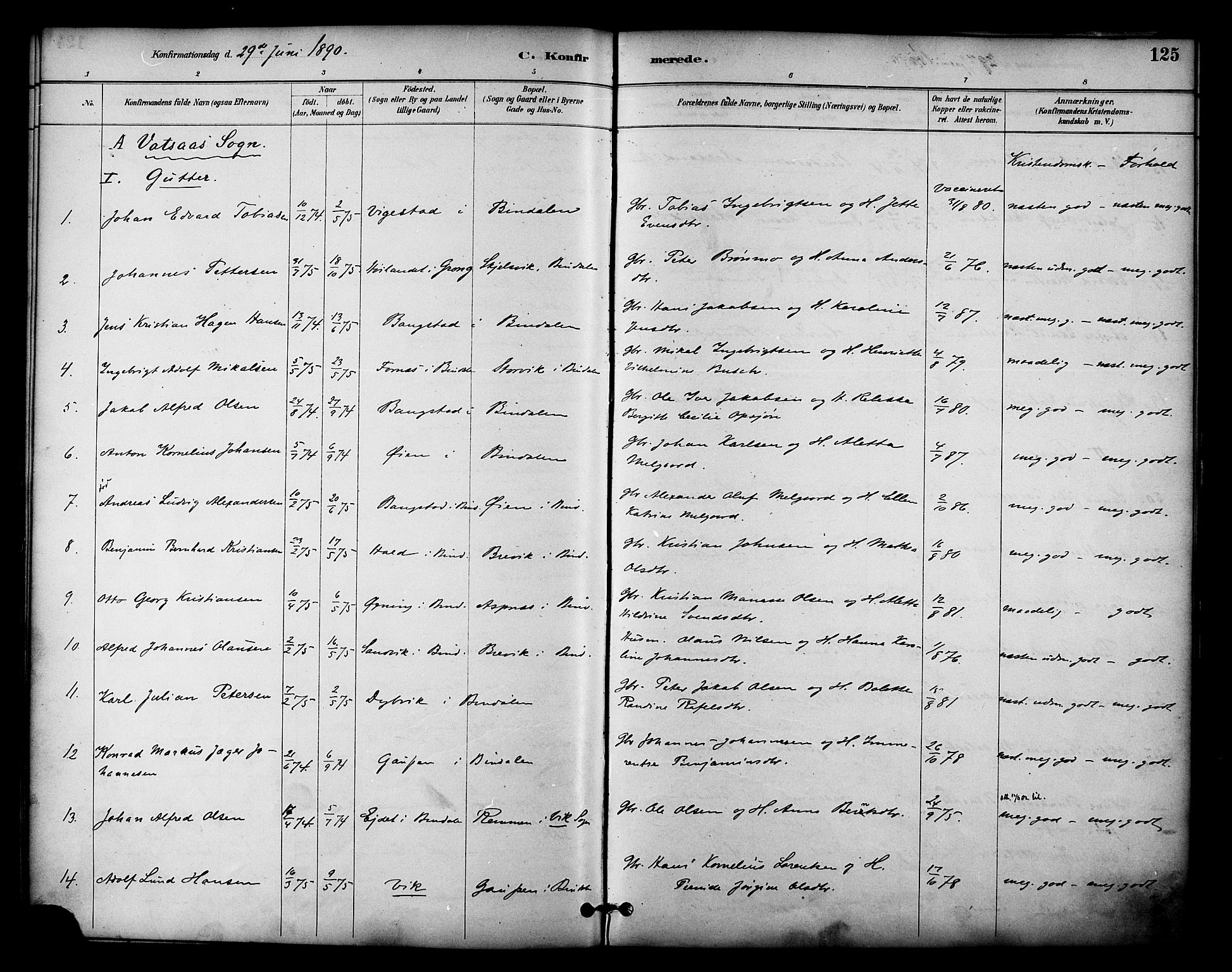 Ministerialprotokoller, klokkerbøker og fødselsregistre - Nordland, AV/SAT-A-1459/810/L0150: Parish register (official) no. 810A10 /1, 1884-1895, p. 125