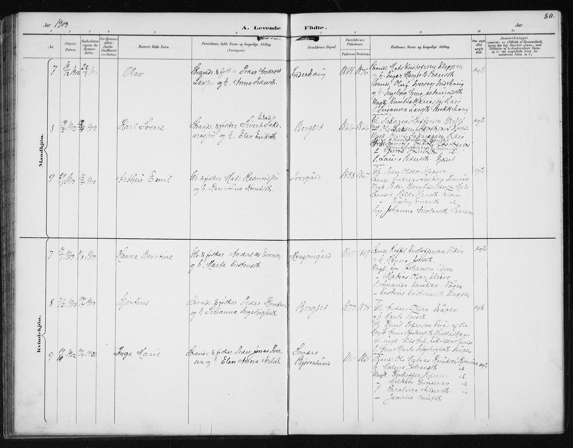 Ministerialprotokoller, klokkerbøker og fødselsregistre - Møre og Romsdal, AV/SAT-A-1454/566/L0773: Parish register (copy) no. 566C02, 1892-1909, p. 80