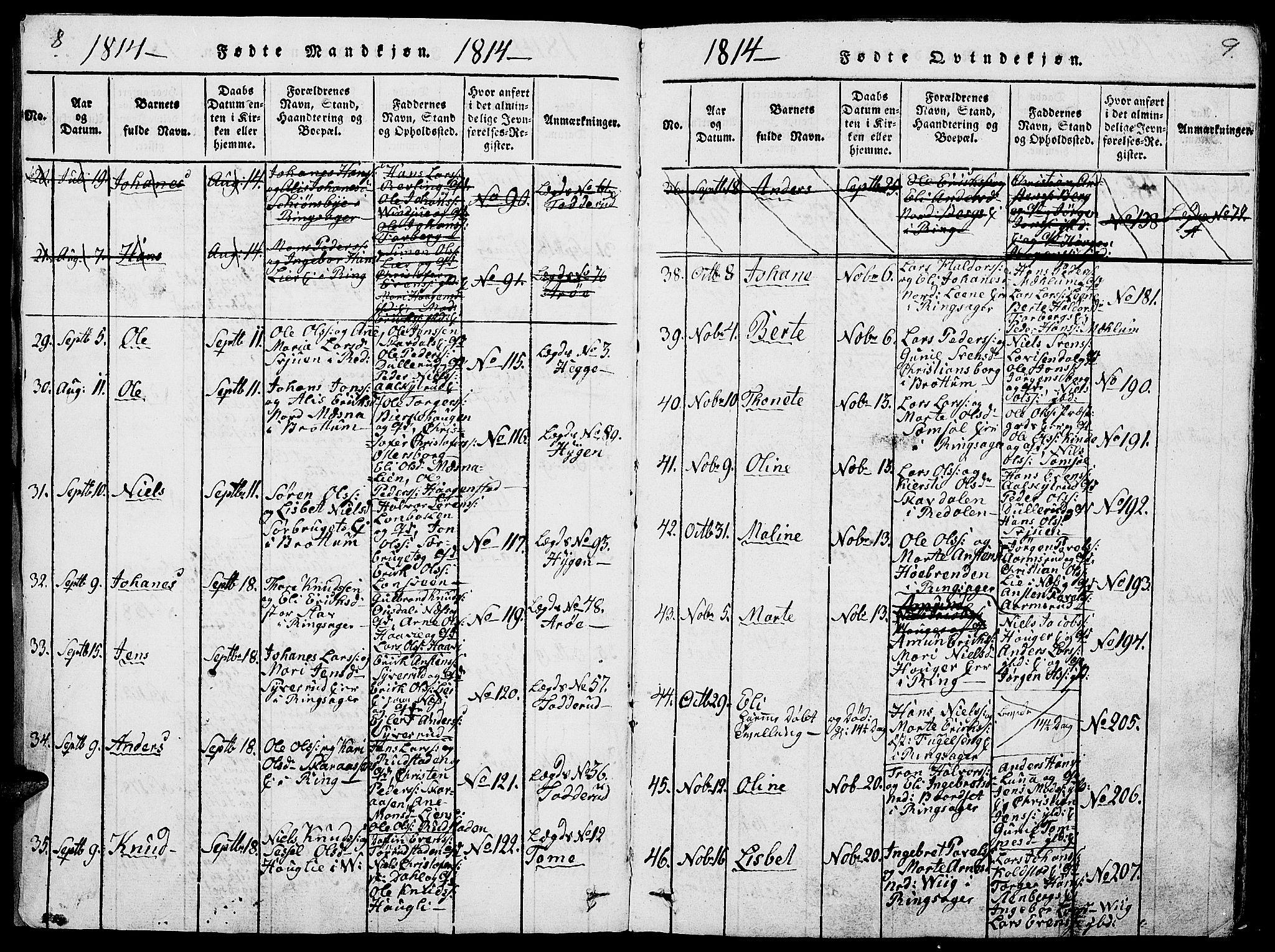 Ringsaker prestekontor, AV/SAH-PREST-014/L/La/L0001: Parish register (copy) no. 1, 1814-1826, p. 8-9