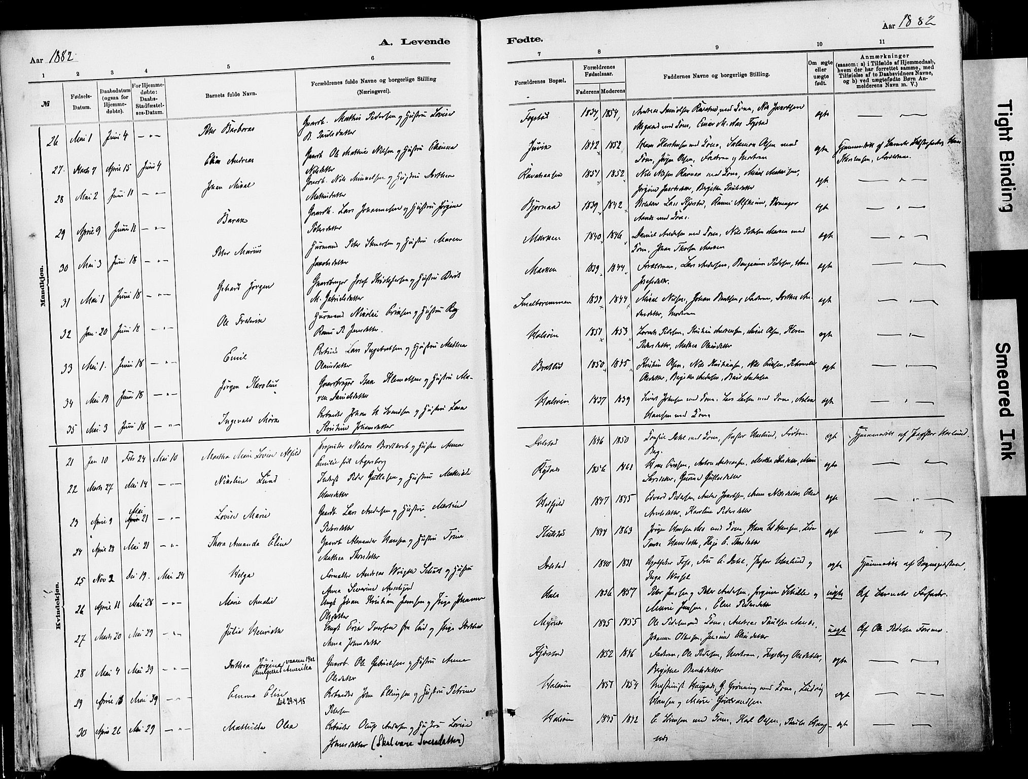 Ministerialprotokoller, klokkerbøker og fødselsregistre - Nordland, SAT/A-1459/820/L0295: Parish register (official) no. 820A16, 1880-1896, p. 17