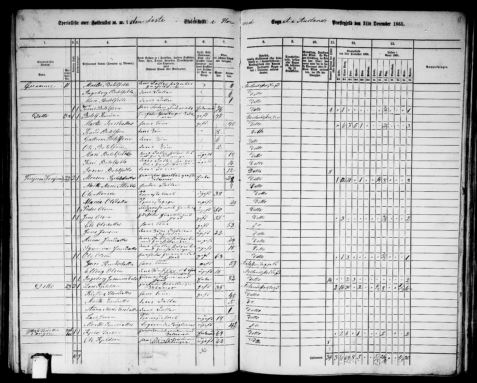 RA, 1865 census for Aurland, 1865, p. 17