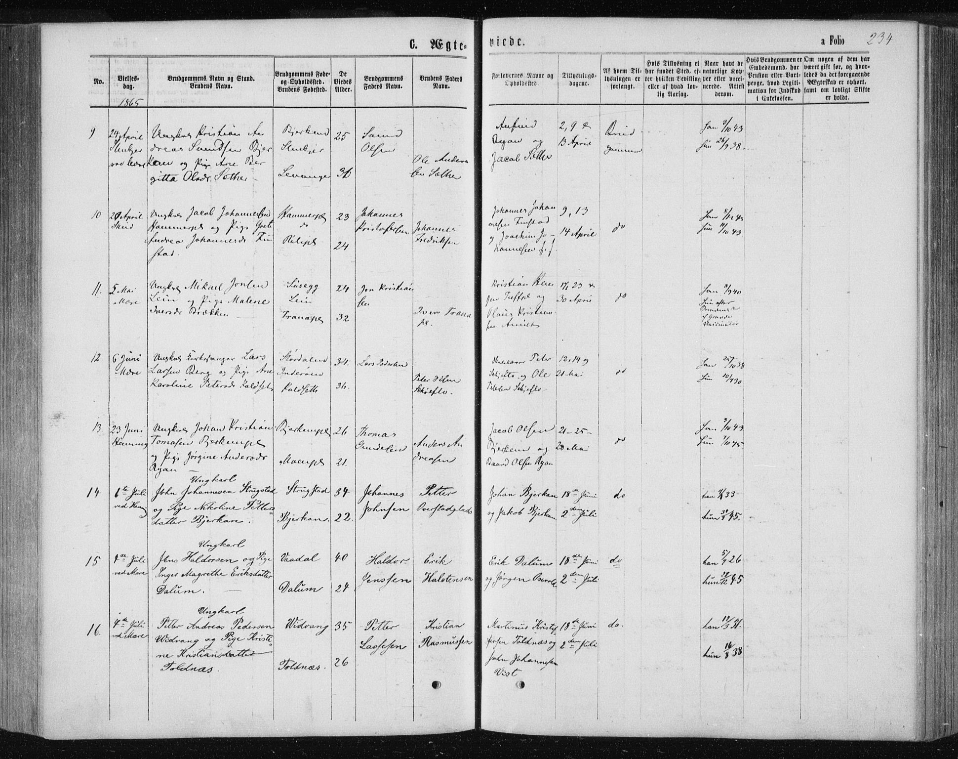 Ministerialprotokoller, klokkerbøker og fødselsregistre - Nord-Trøndelag, AV/SAT-A-1458/735/L0345: Parish register (official) no. 735A08 /1, 1863-1872, p. 234