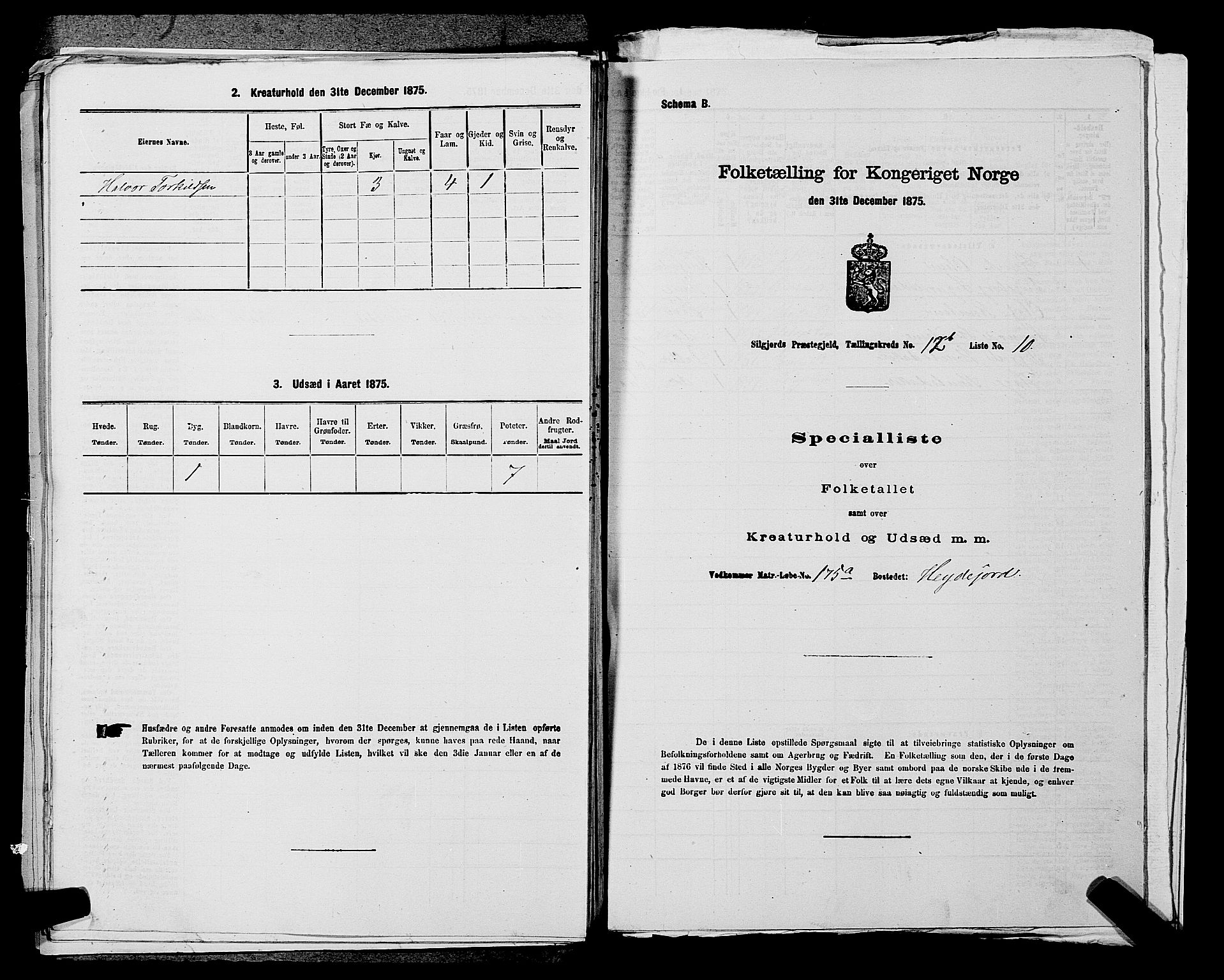 SAKO, 1875 census for 0828P Seljord, 1875, p. 1374