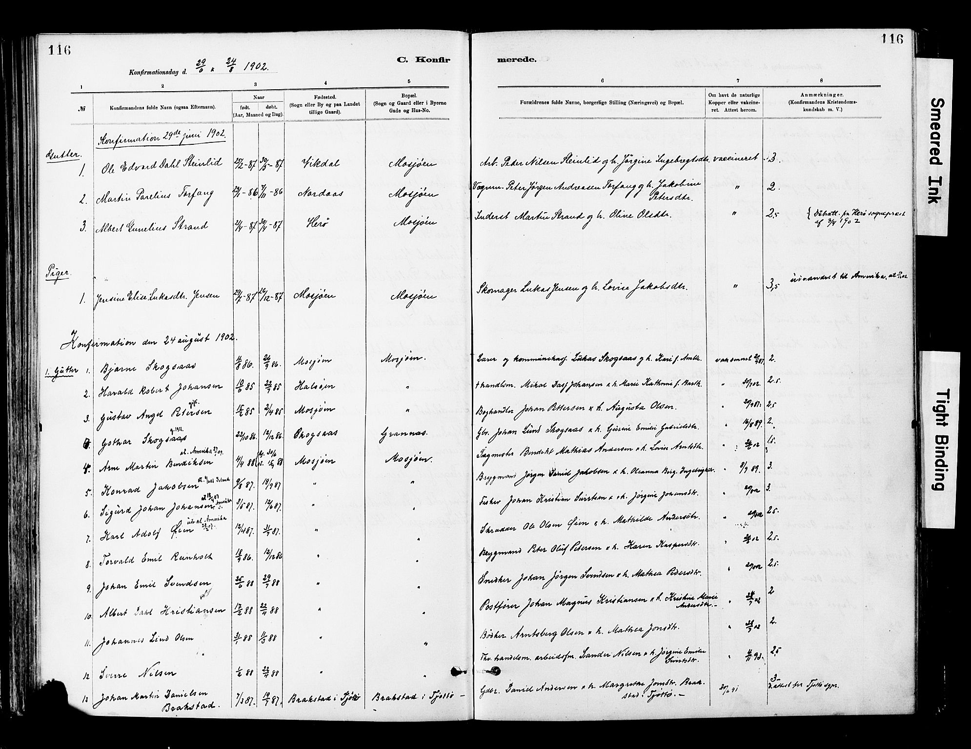 Ministerialprotokoller, klokkerbøker og fødselsregistre - Nordland, SAT/A-1459/820/L0296: Parish register (official) no. 820A17, 1880-1903, p. 116