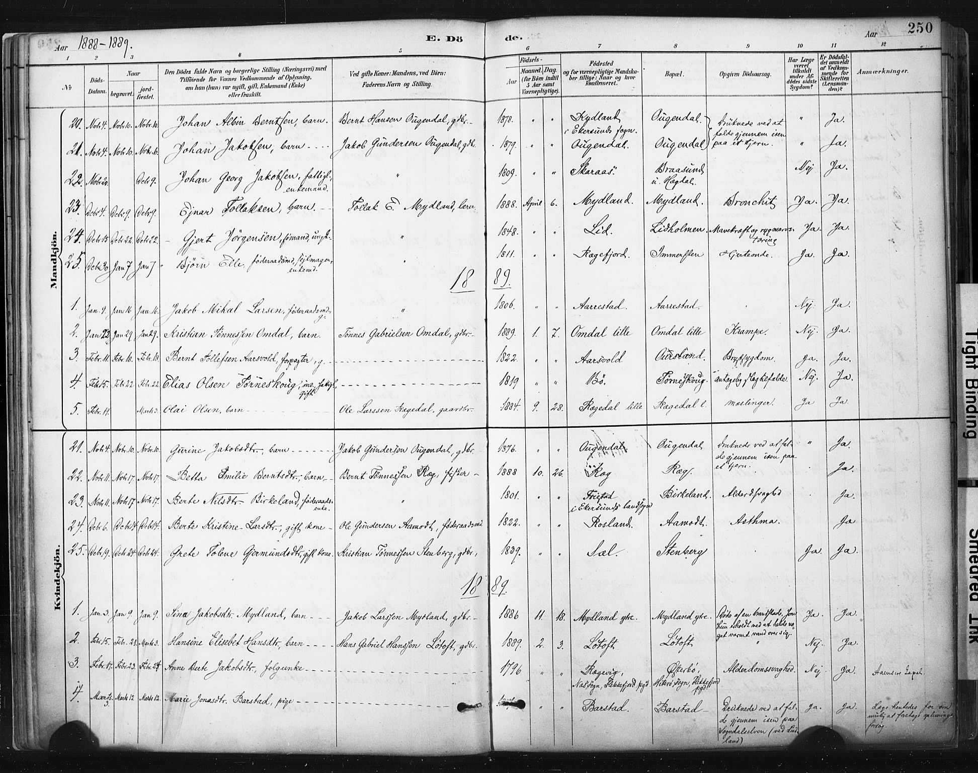 Sokndal sokneprestkontor, SAST/A-101808: Parish register (official) no. A 11.2, 1887-1905, p. 250