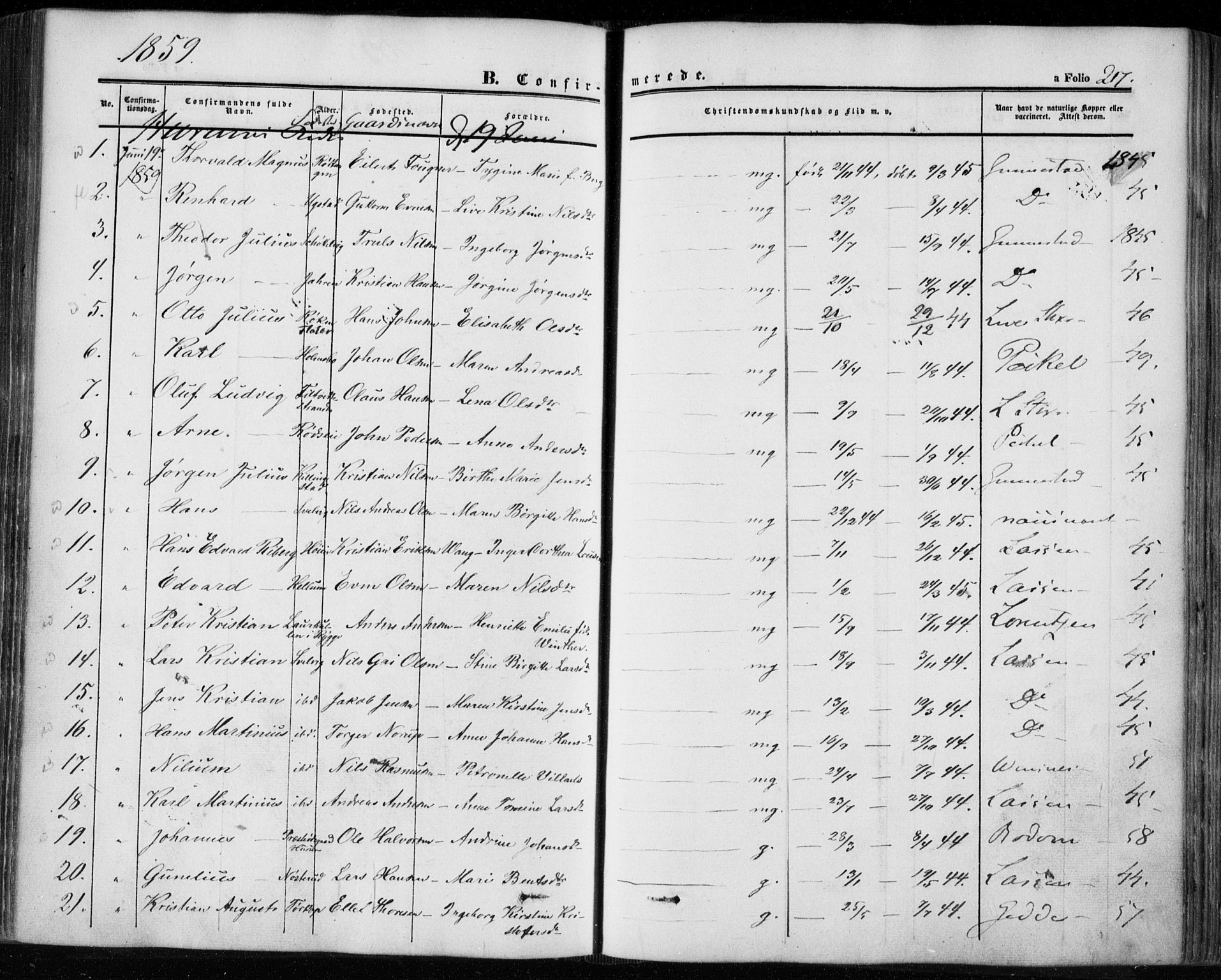 Hurum kirkebøker, SAKO/A-229/F/Fa/L0011: Parish register (official) no. 11, 1847-1860, p. 217