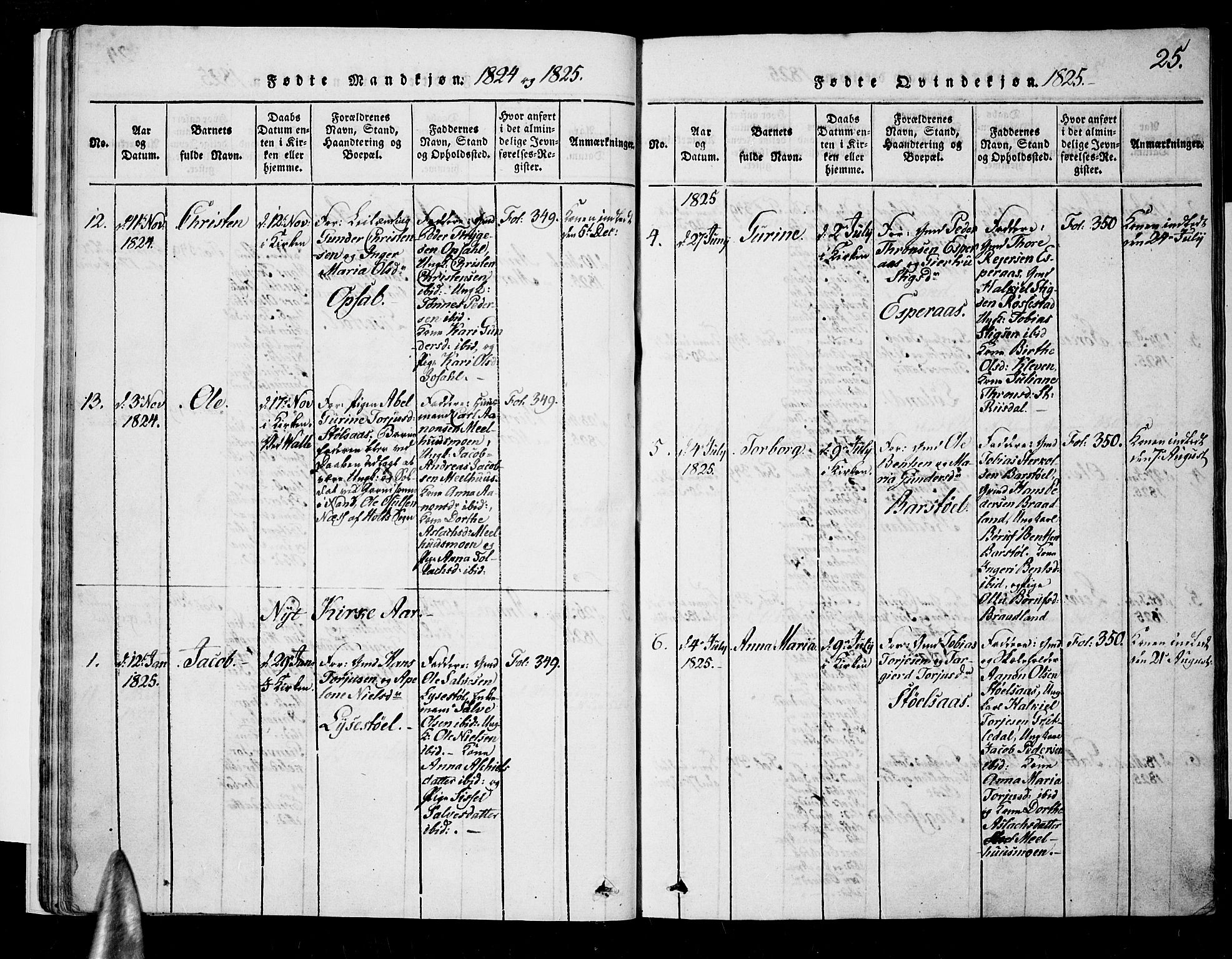 Nord-Audnedal sokneprestkontor, AV/SAK-1111-0032/F/Fa/Fab/L0001: Parish register (official) no. A 1, 1816-1858, p. 25