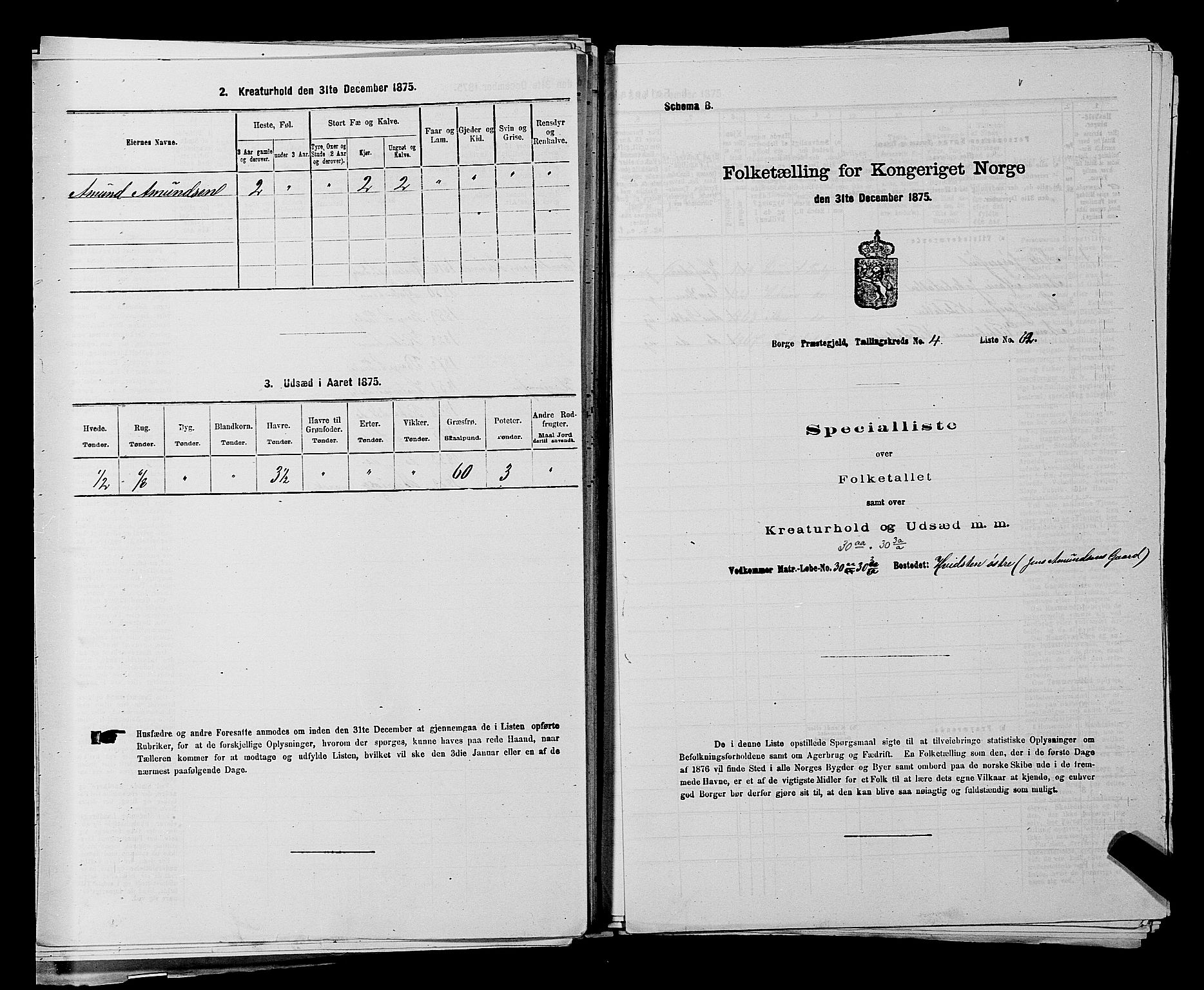 RA, 1875 census for 0113P Borge, 1875, p. 645