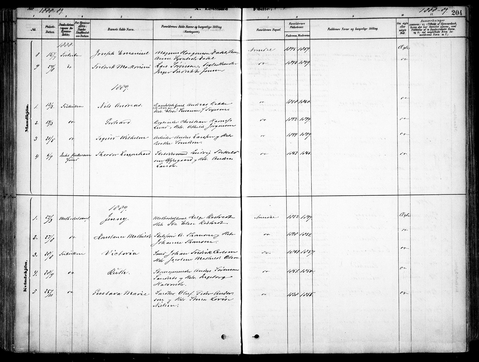 Arendal sokneprestkontor, Trefoldighet, SAK/1111-0040/F/Fa/L0008: Parish register (official) no. A 8, 1878-1899, p. 204