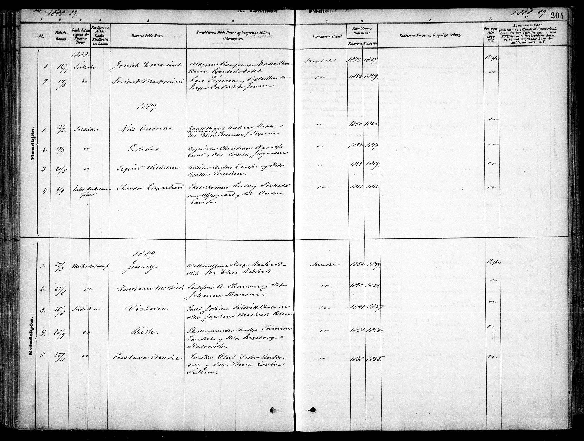 Arendal sokneprestkontor, Trefoldighet, AV/SAK-1111-0040/F/Fa/L0008: Parish register (official) no. A 8, 1878-1899, p. 204