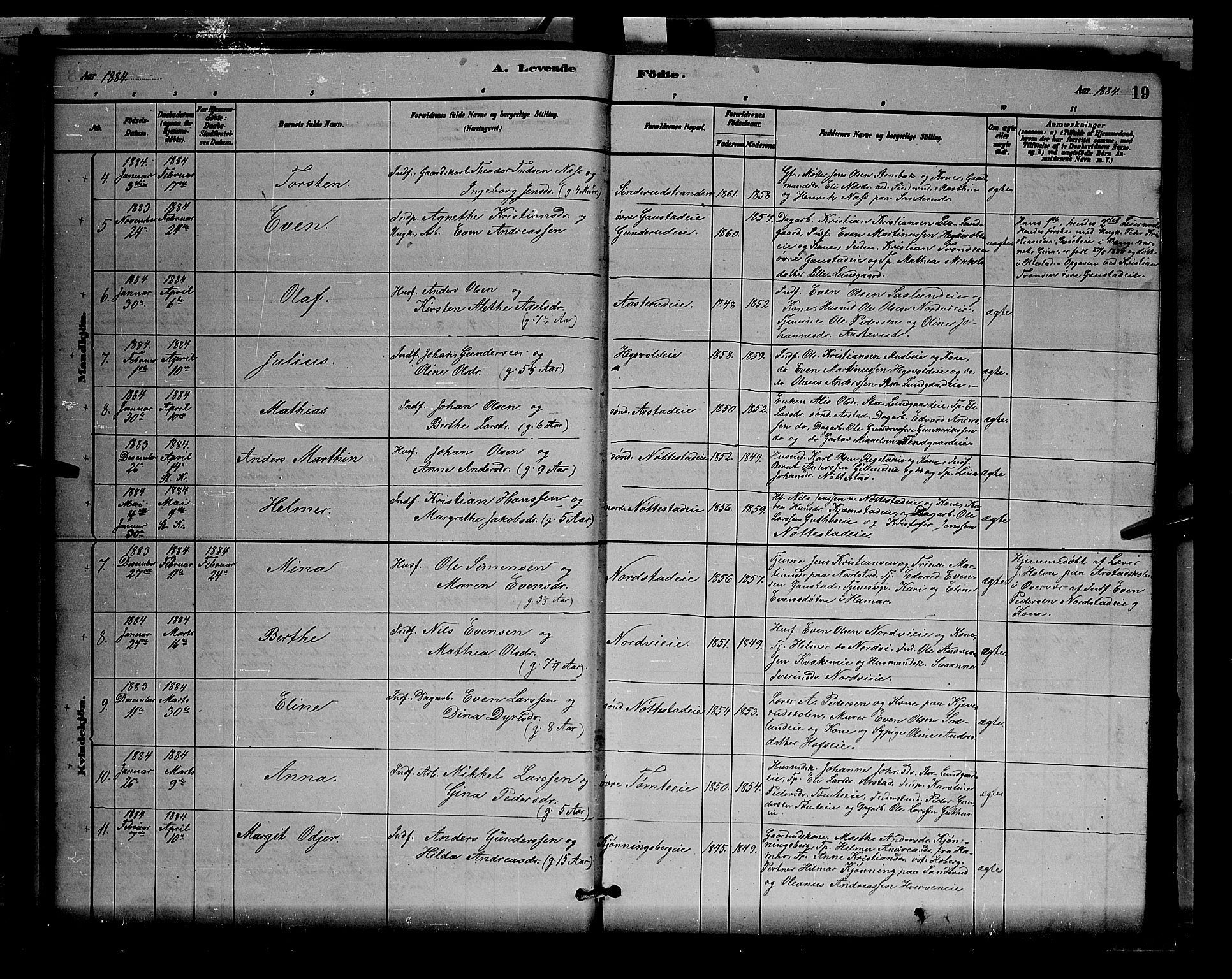 Stange prestekontor, AV/SAH-PREST-002/L/L0007: Parish register (copy) no. 7, 1880-1893, p. 19