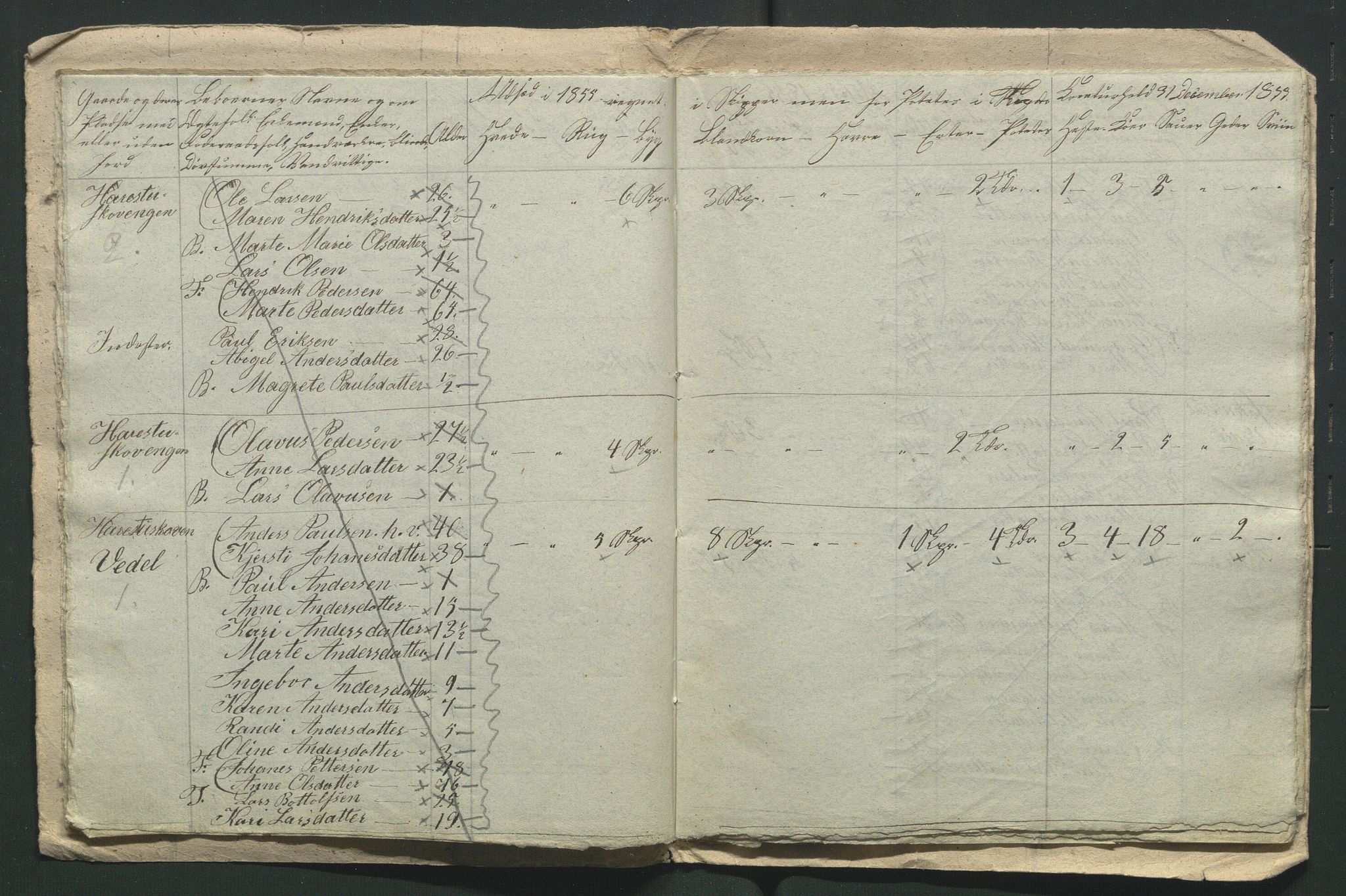 SAH, 1855 Census for Jevnaker parish, 1855, p. 201