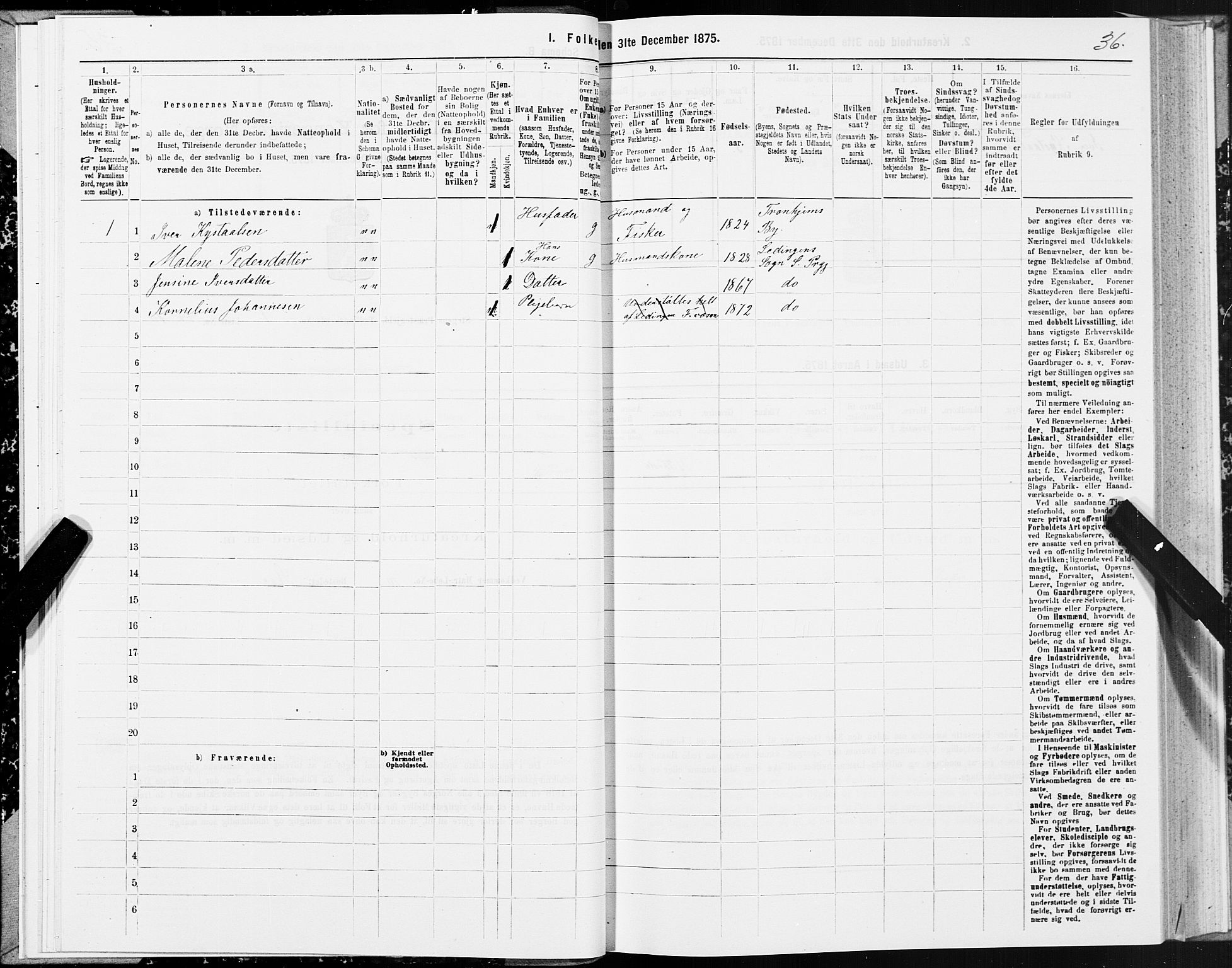 SAT, 1875 census for 1848P Steigen, 1875, p. 1036